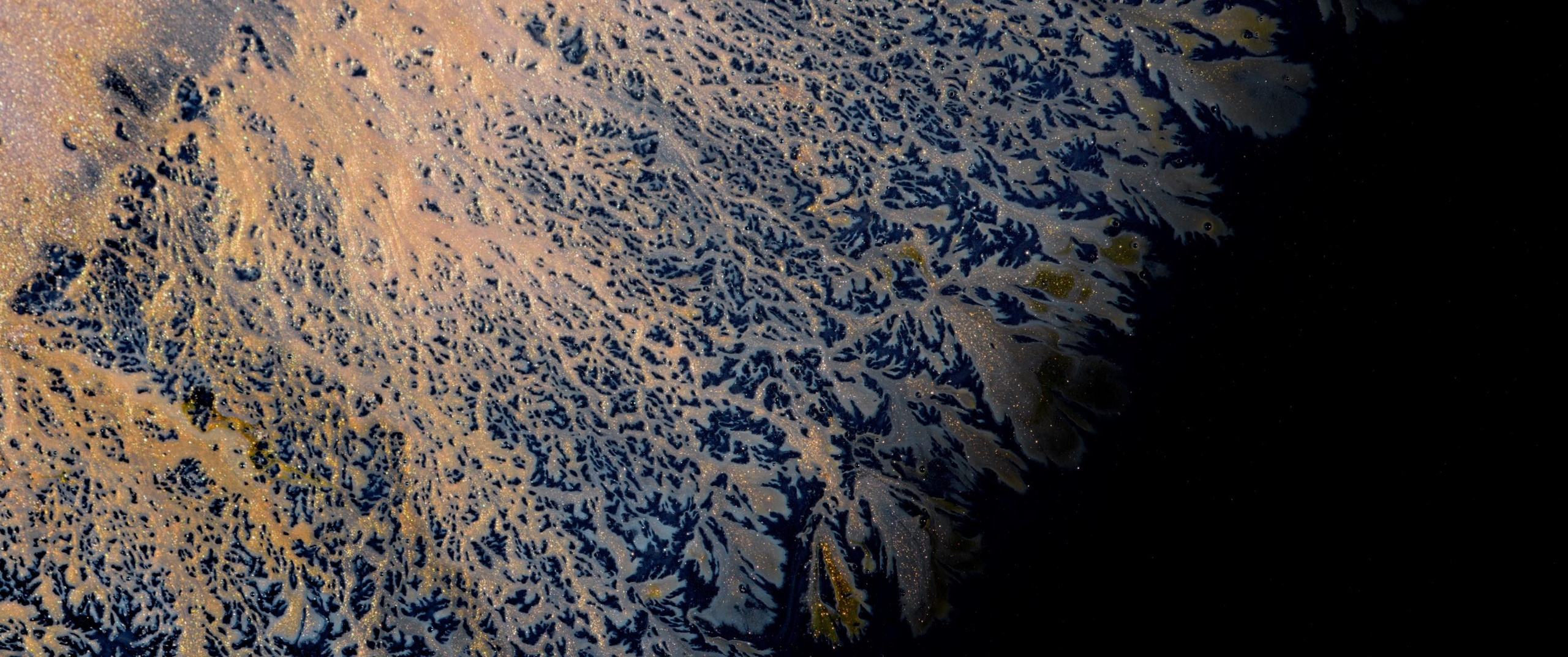 Genesis. Short films by Vadim Sherbakov