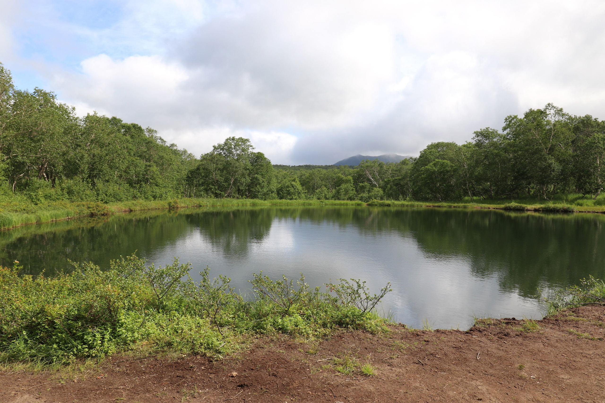 Камчатка и о. Парамушир. Июль 2024. Путешественник-фотограф из Санкт-Петербурга Татьяна Свистулина