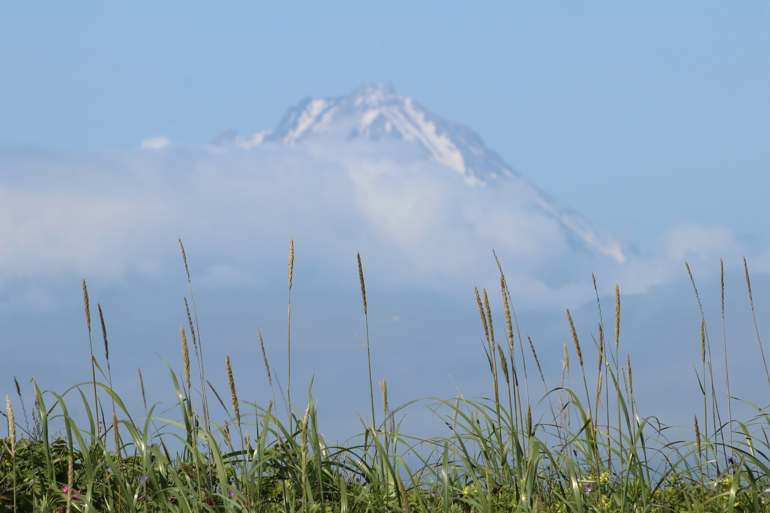 Камчатка и о. Парамушир. Июль 2024. Путешественник-фотограф из Санкт-Петербурга Татьяна Свистулина