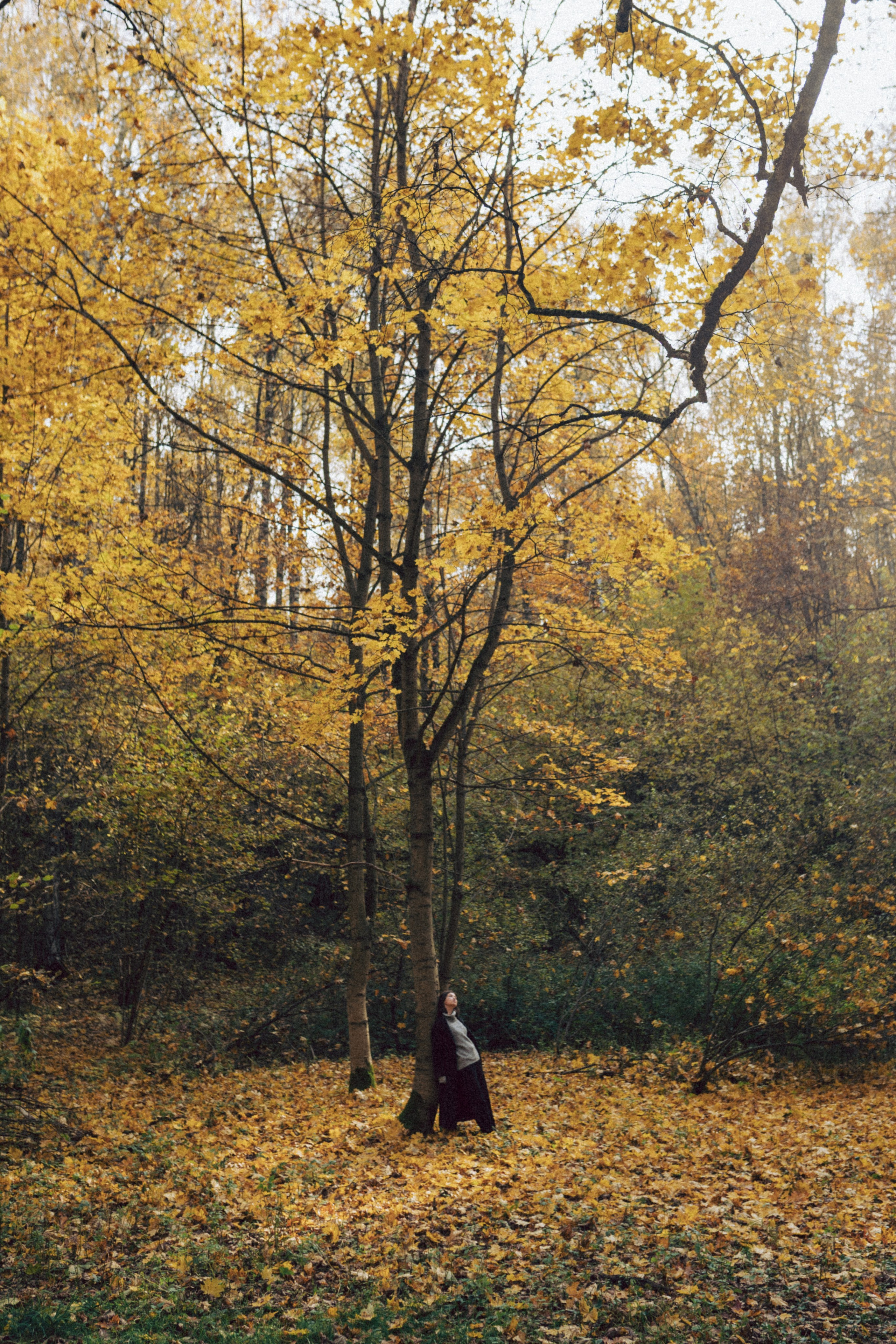 Александра. Фотограф Москва Селюкова Юлия