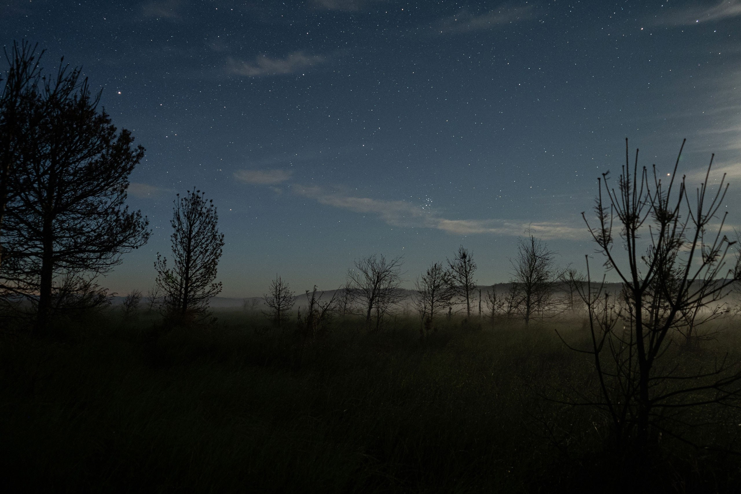 Путешествия. Ольга Ибатуллина