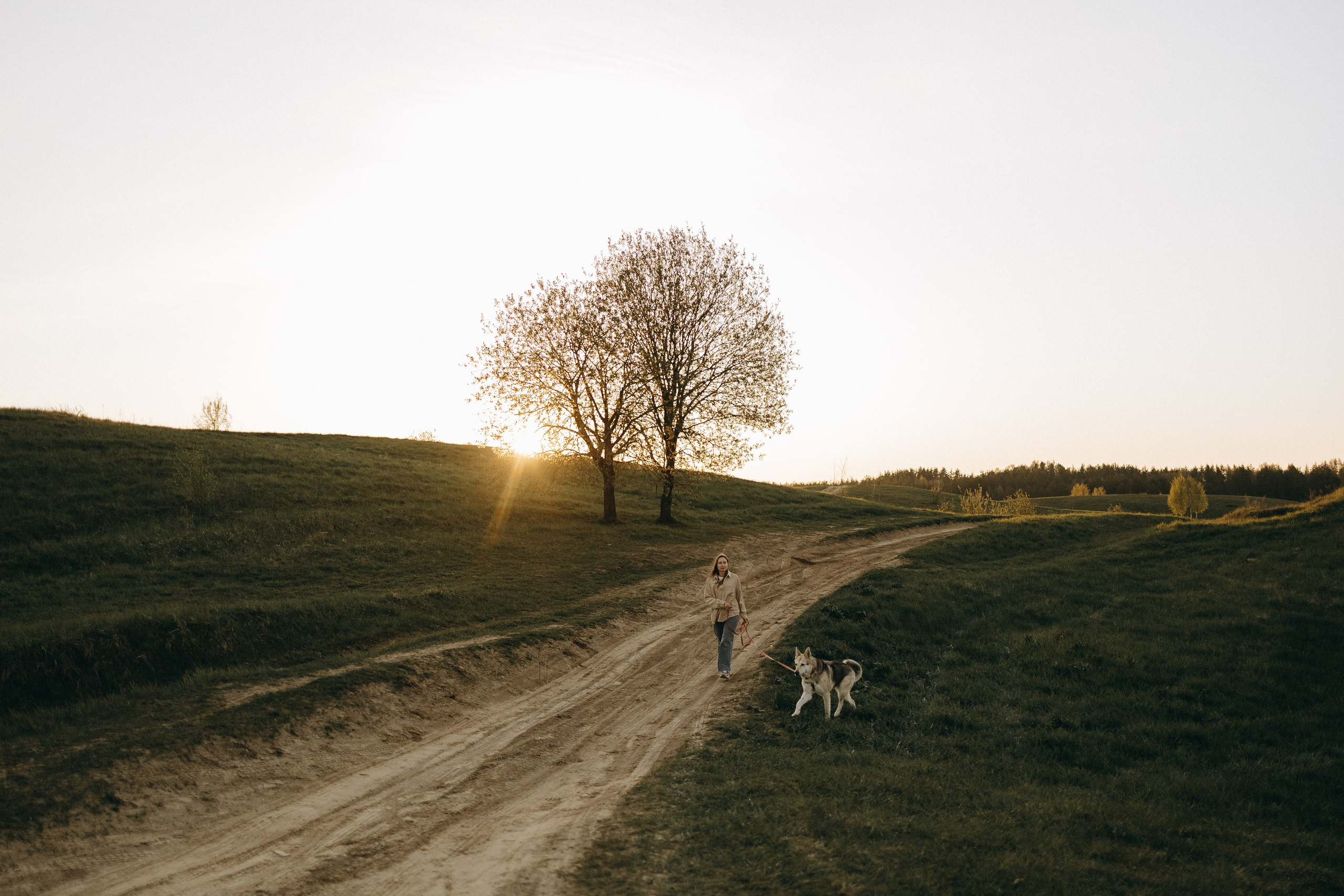 Саша и Зельда. Фотограф — Анималист | Санкт-Петербург