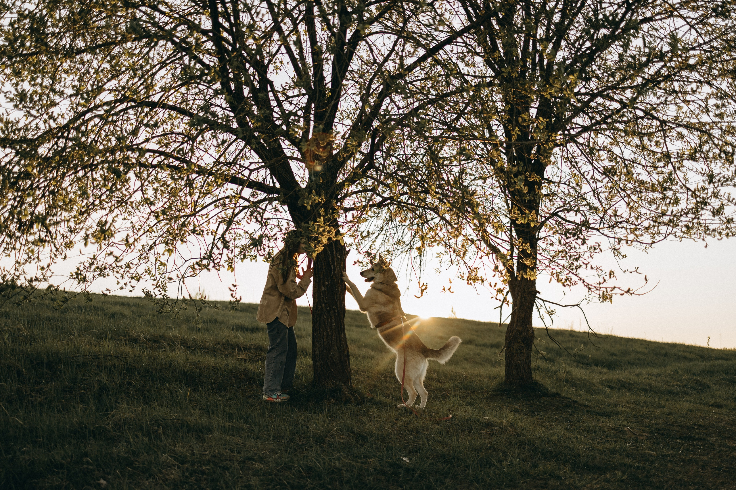 Саша и Зельда. Фотограф — Анималист | Санкт-Петербург