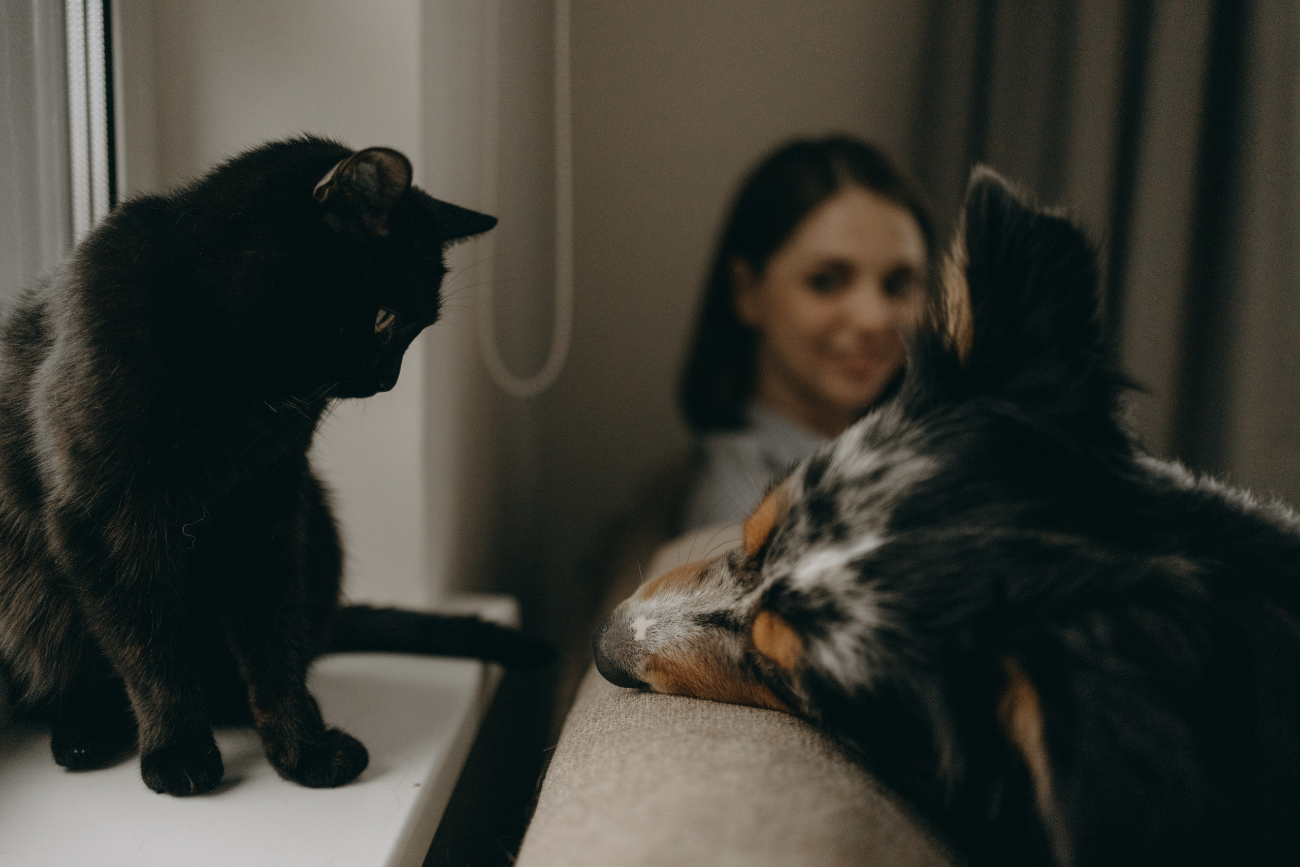 Настя, Никита и их Гром и Мяу. Фотограф — Анималист | Санкт-Петербург