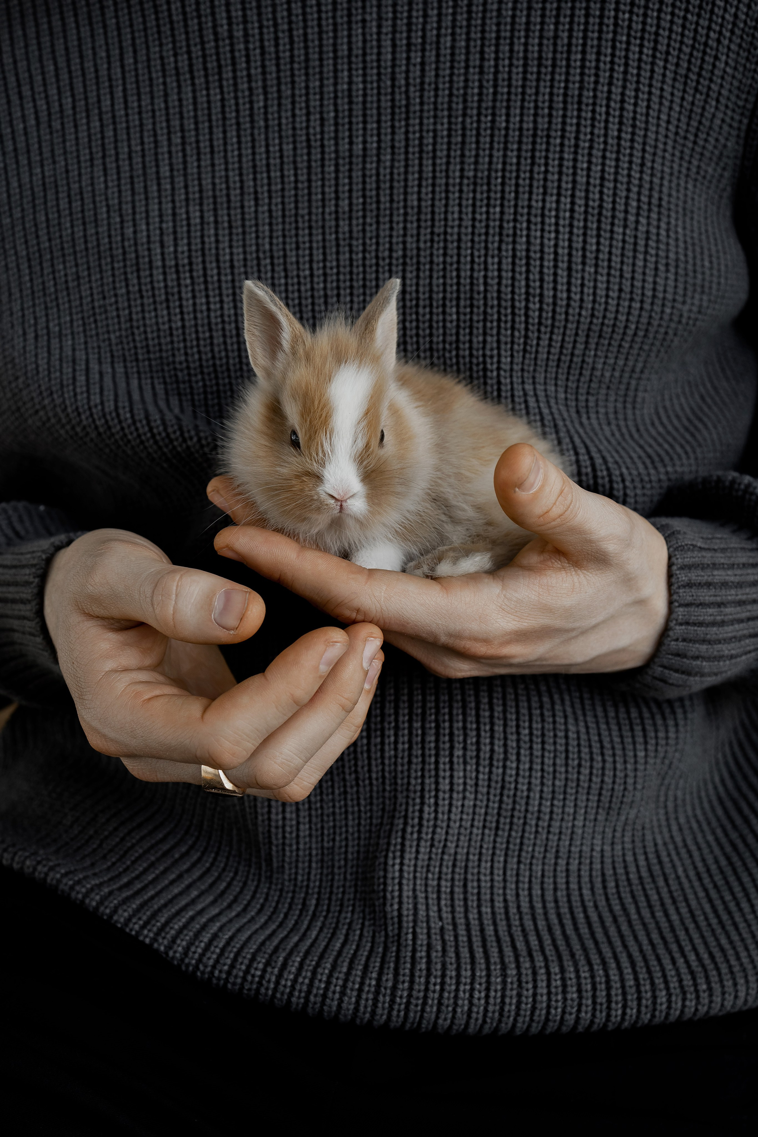 Евгений Буздалин. Фотограф Челябинск Эвелина Ганага, съемка для бизнеса и маркетплейсов