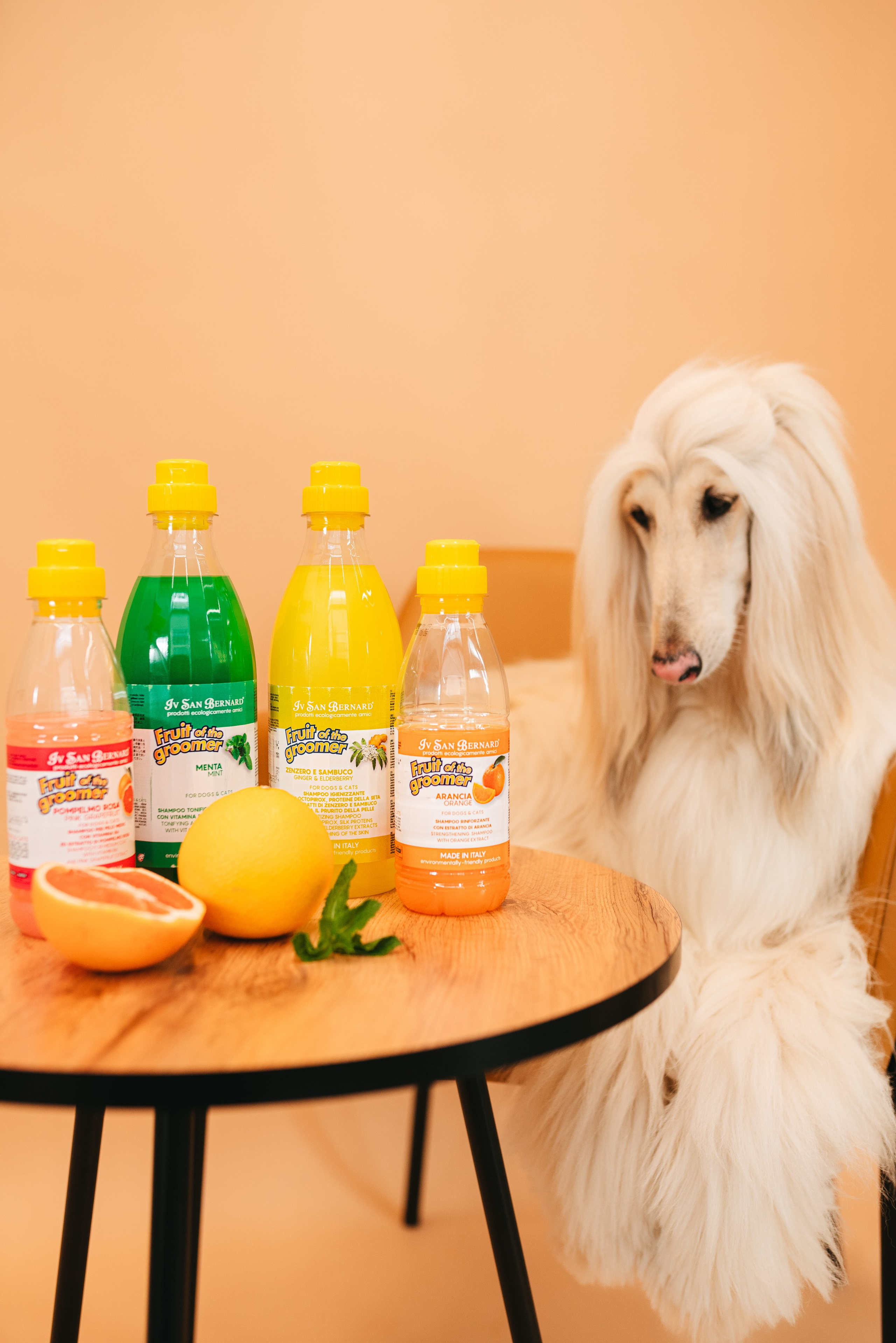 Груминг — салон. Фотограф анималист Осипчикова Мария