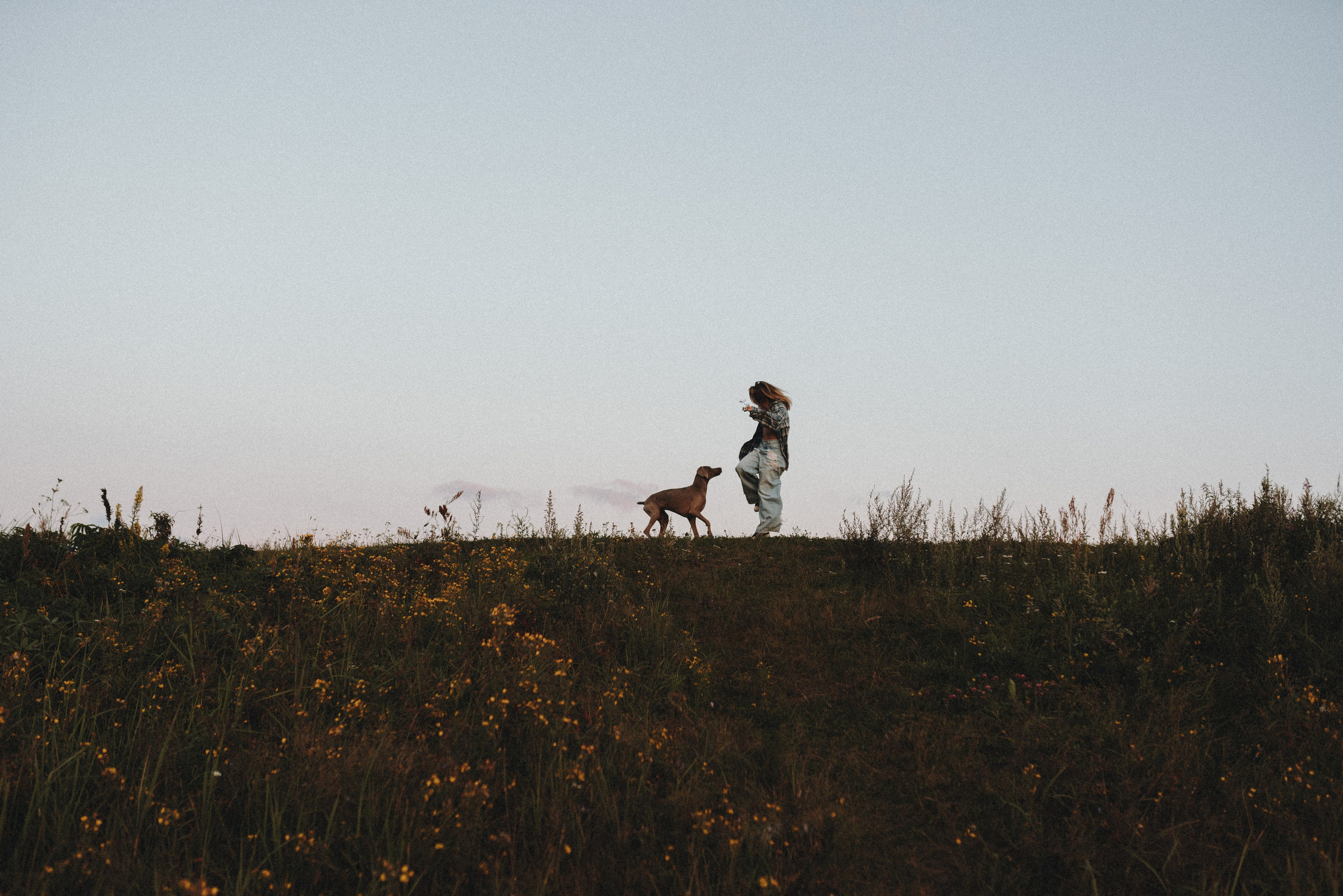 Юля и Эспен. Фотограф анималист Осипчикова Мария