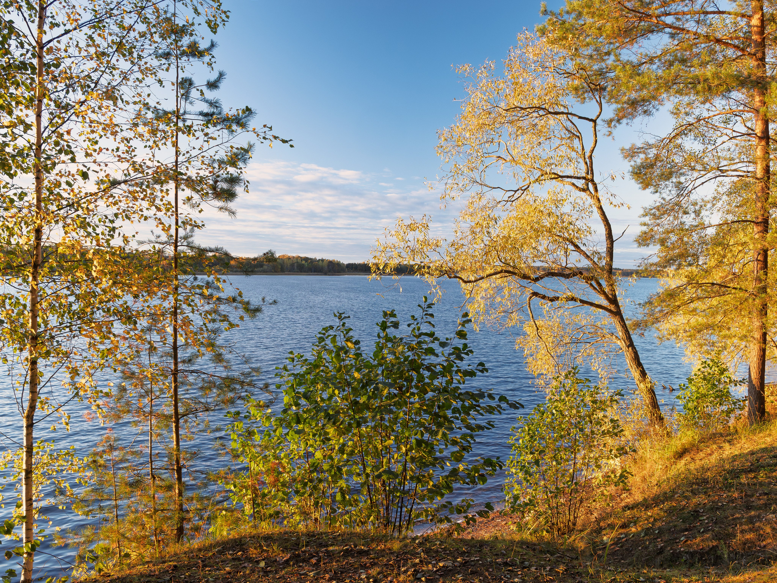 Голубые озера, Псковская область. Октябрь 2024. Фотограф Никифоров-Гордеев Сергей. Москва и МО