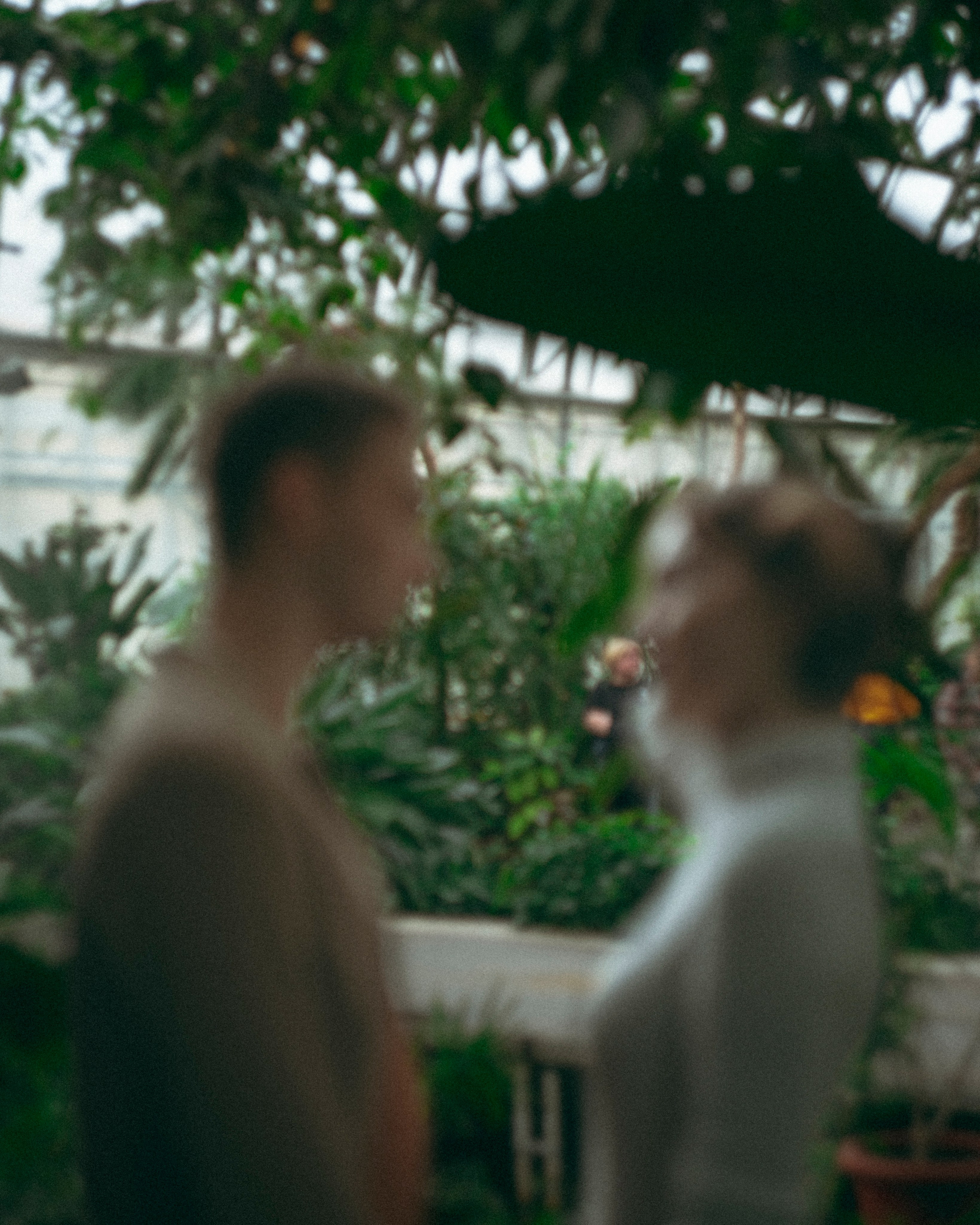 Lovestory in greenhouse on Chernyshevskaya. Katya Che | Photographer | Beograd