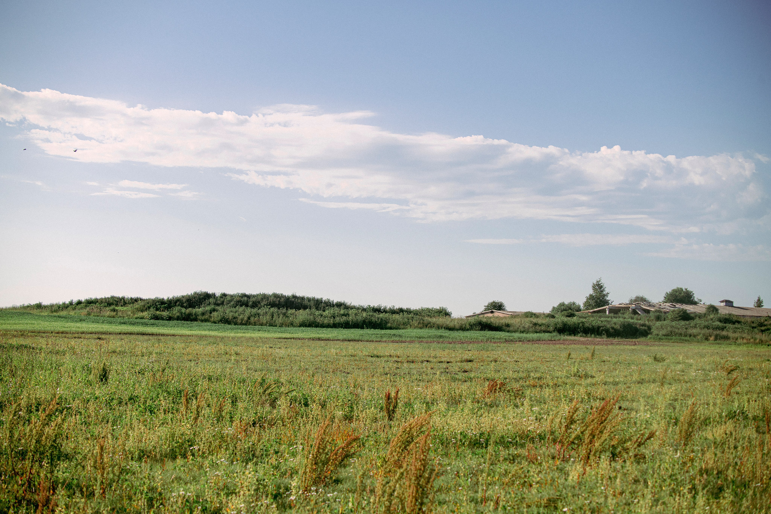 Цветные фотографии. Фотографии Лены Соколовой