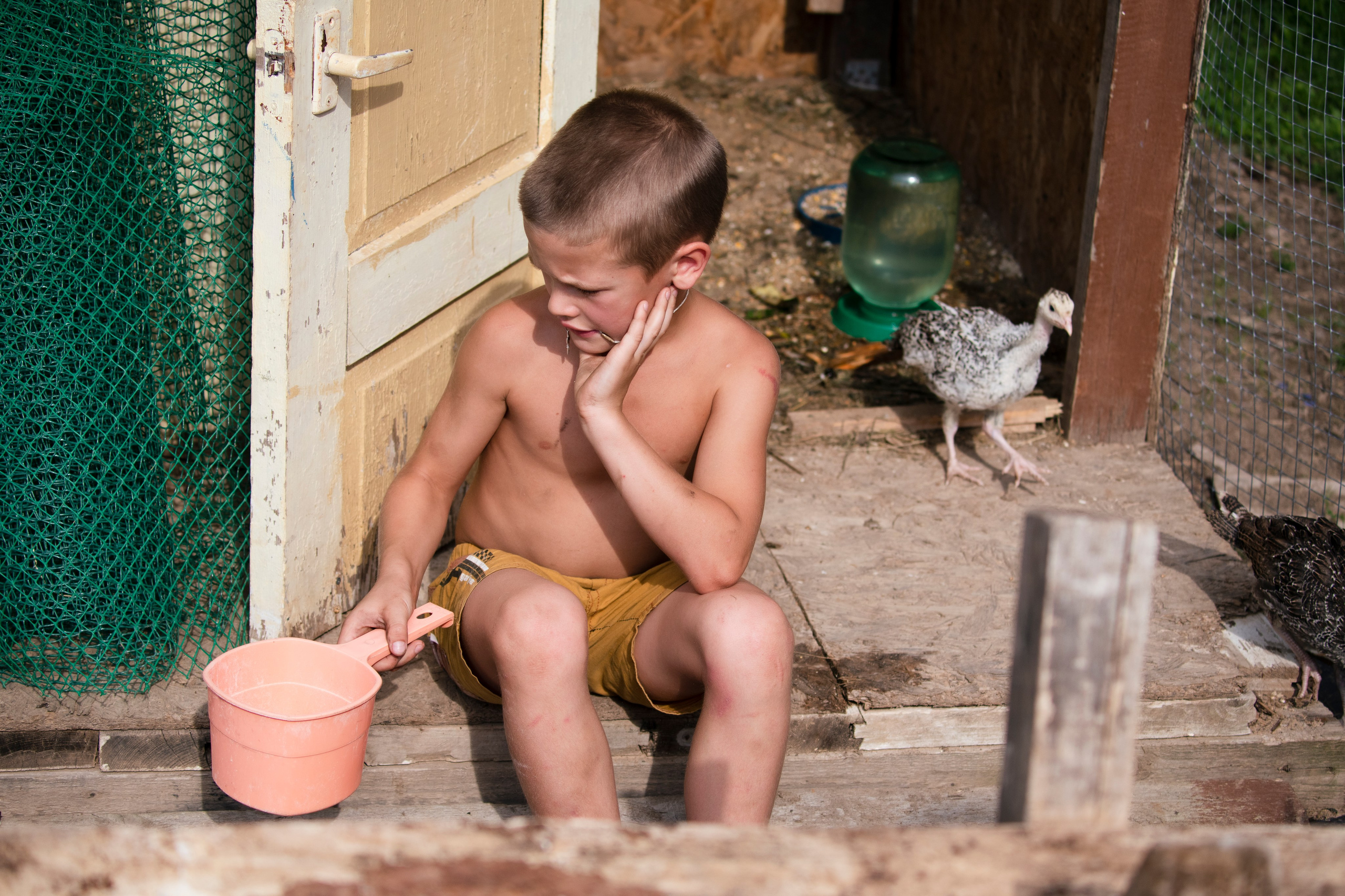 Цветные фотографии. Фотографии Лены Соколовой
