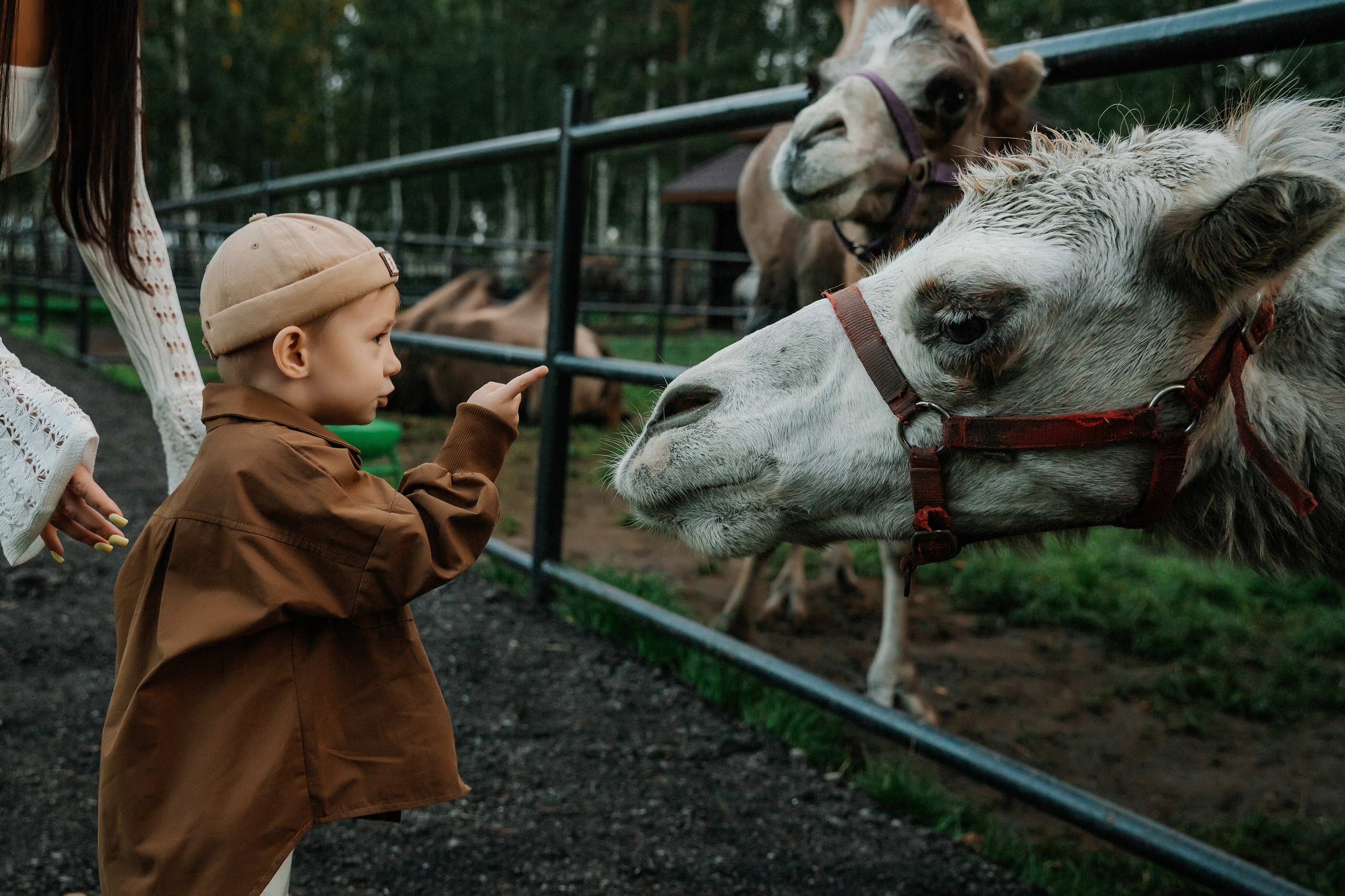 Лето на ранчо. Детский и семейный фотограф в Красноярске Юлия Бирюкова