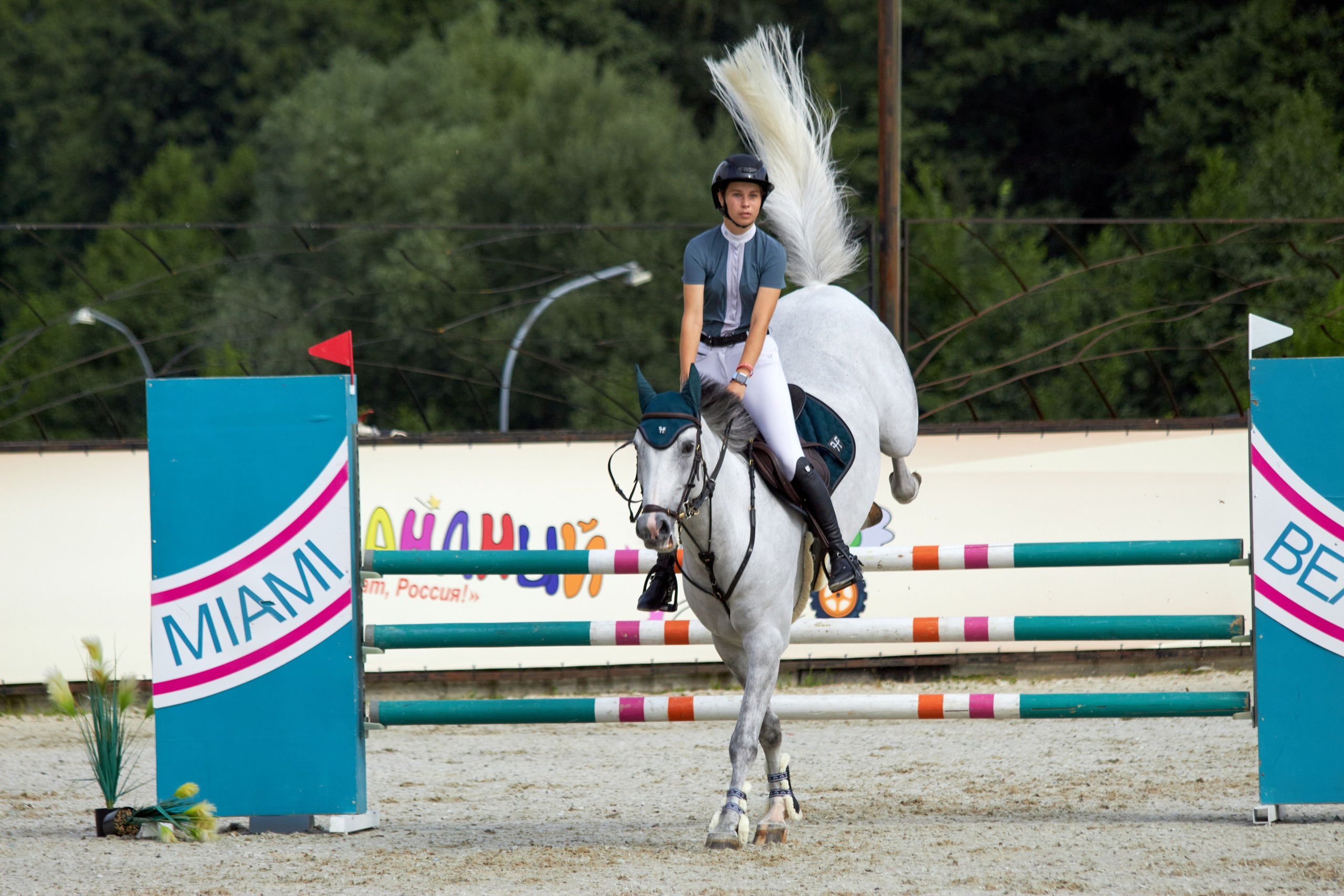 Конкур в «Виват, Россия». Фотограф анималист — Тула, Москва