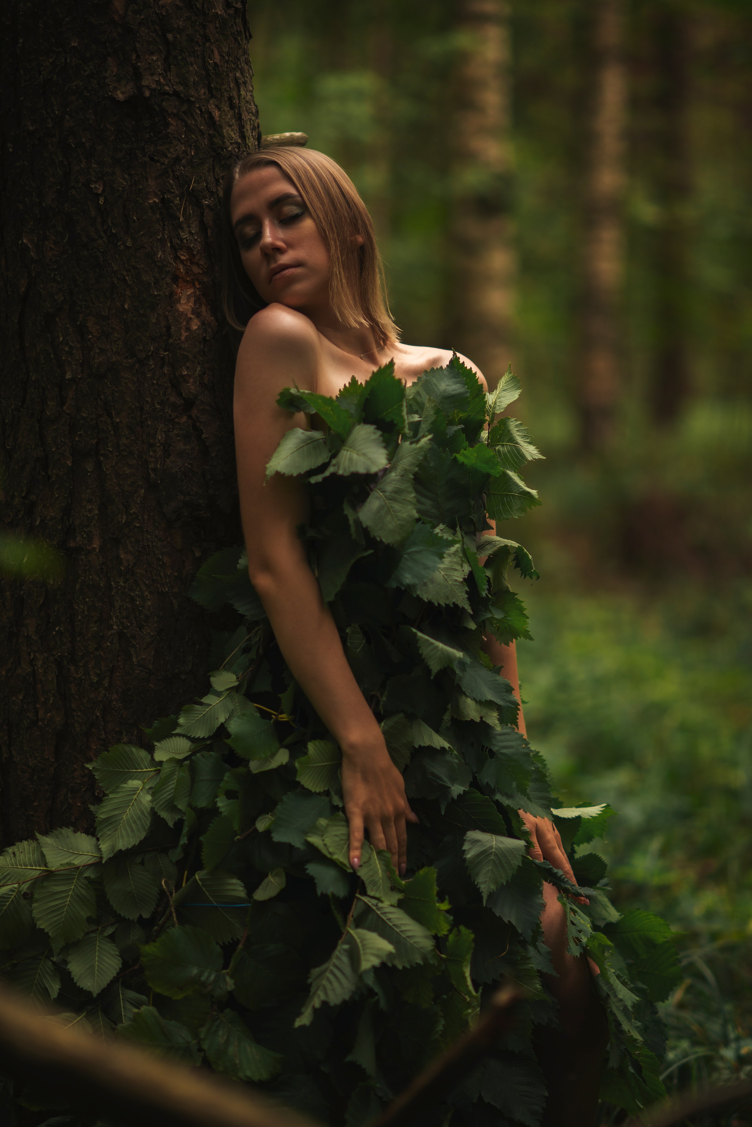 Лесная сказка