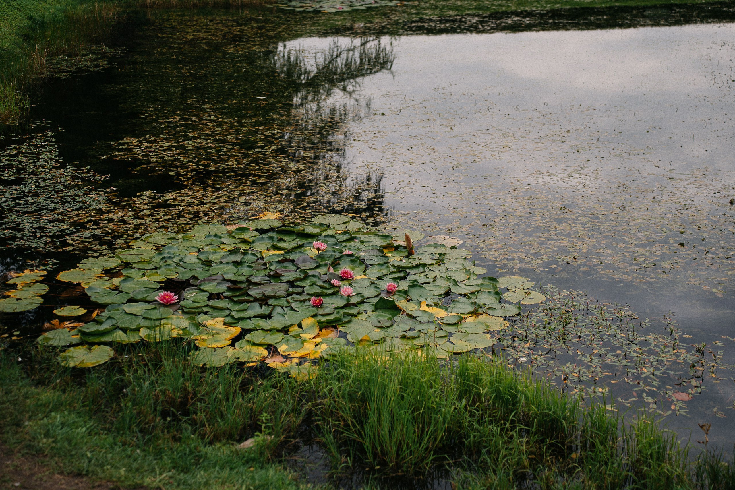 Свадебная фотосессия в Кусково и роспись в Итальянском дворике