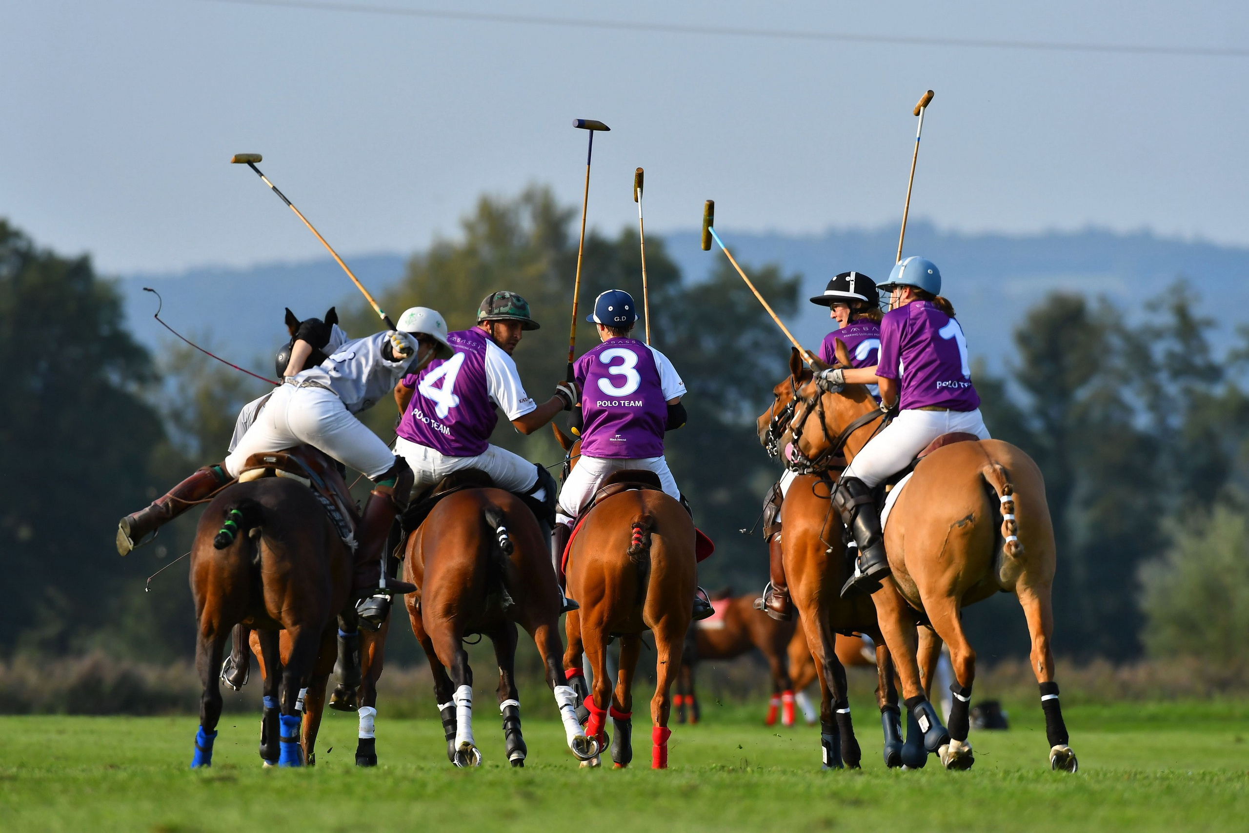 Polo art photos. Art photos of horses — ARTUR BABOEV | Photographer