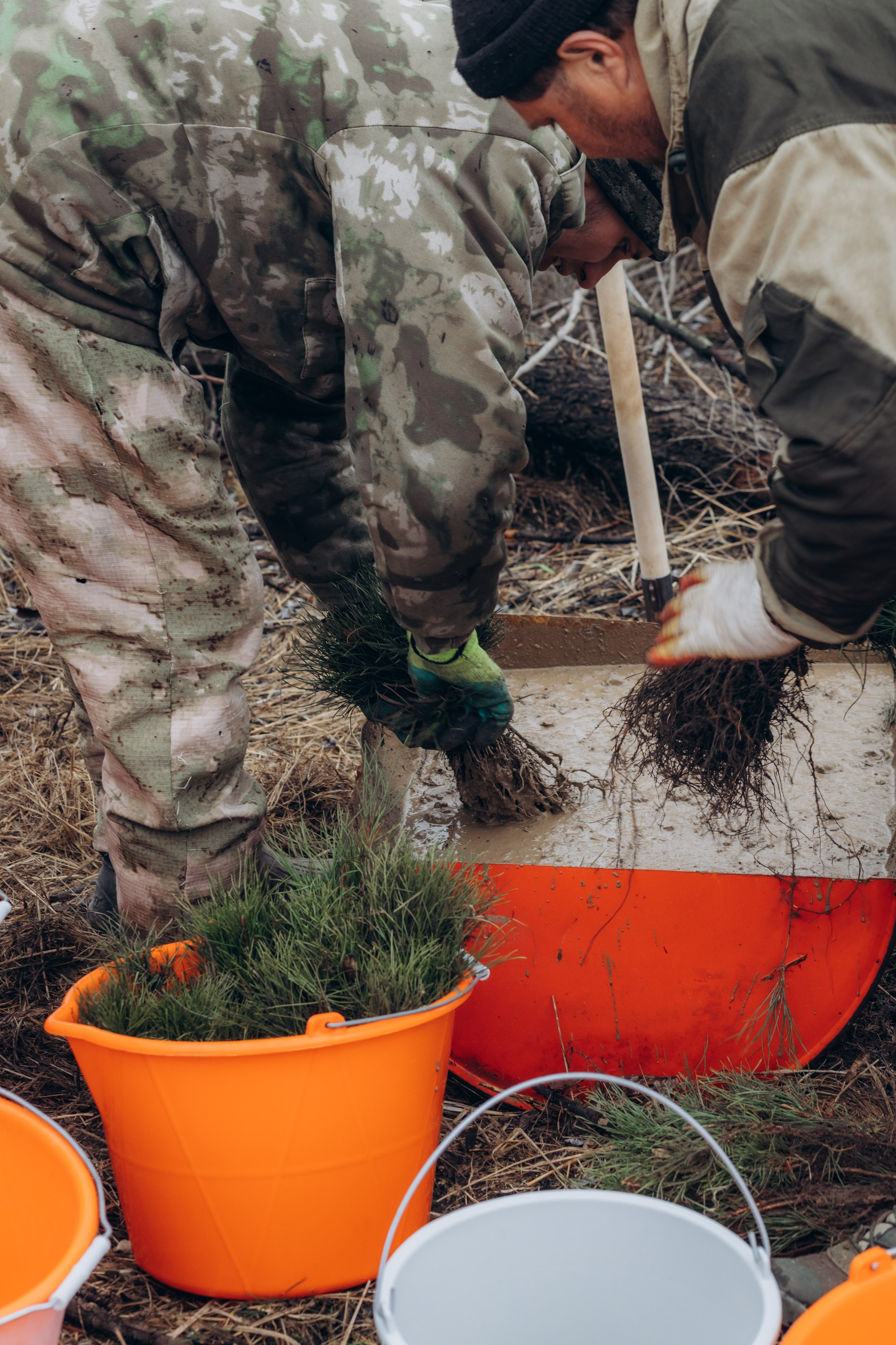 Акция «Лес будущего». Артём Панфилов — Свадебный и семейный фотограф в Ростове-на-Дону