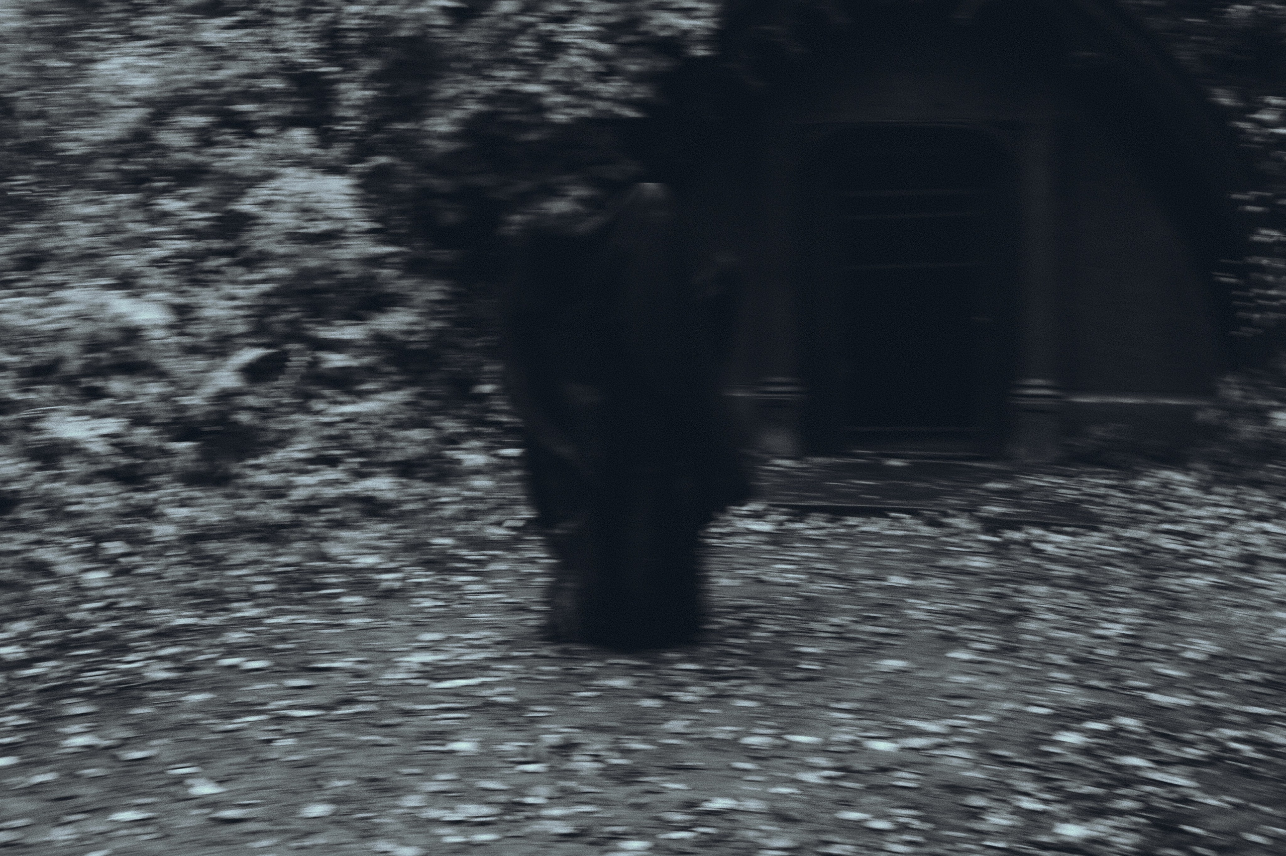 Где спит туман. Ваагн Малхасян | Фотограф | Санкт-Петербург. Создаю атмосферные кадры