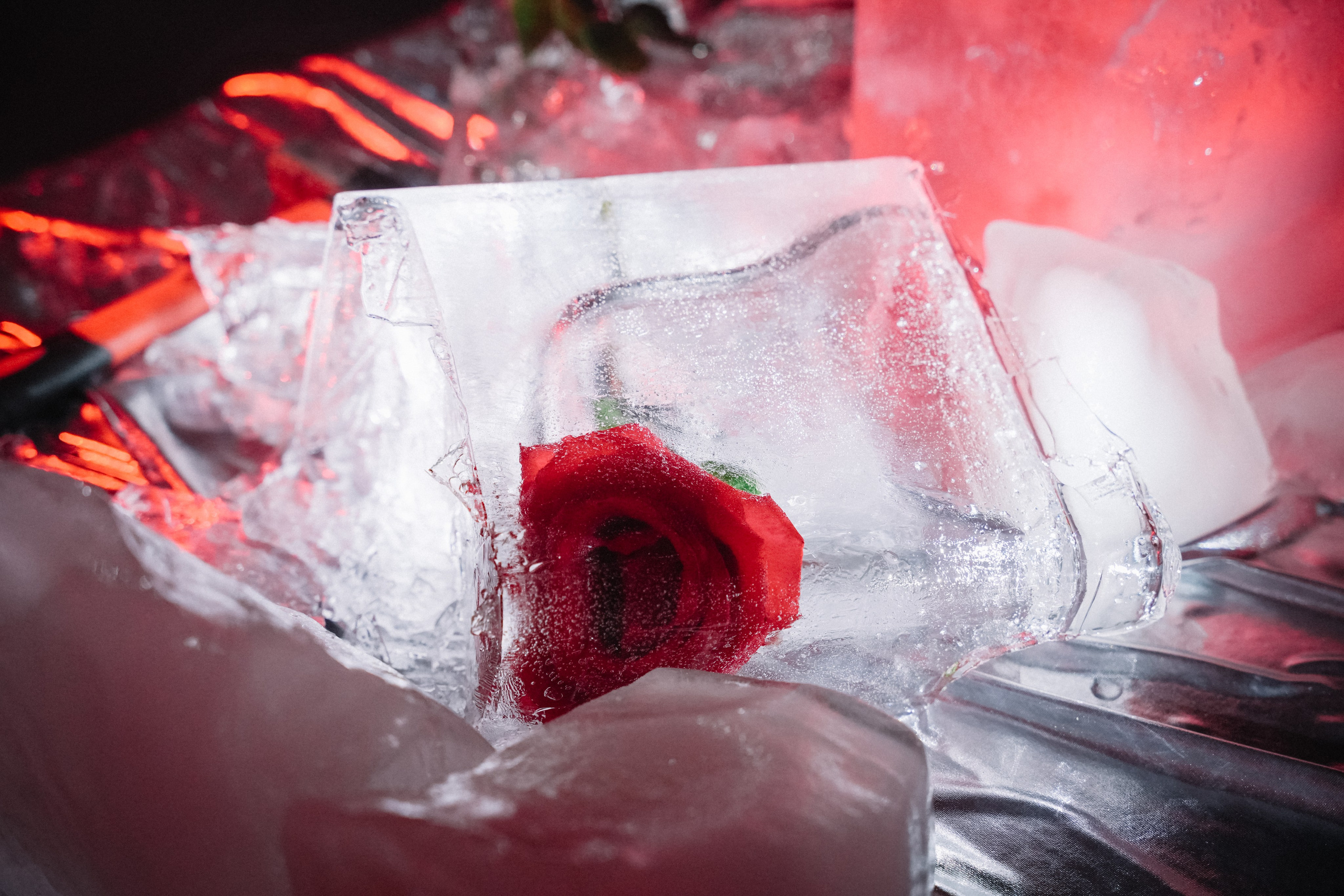 Фотограф Волгоград Анастасия Ли