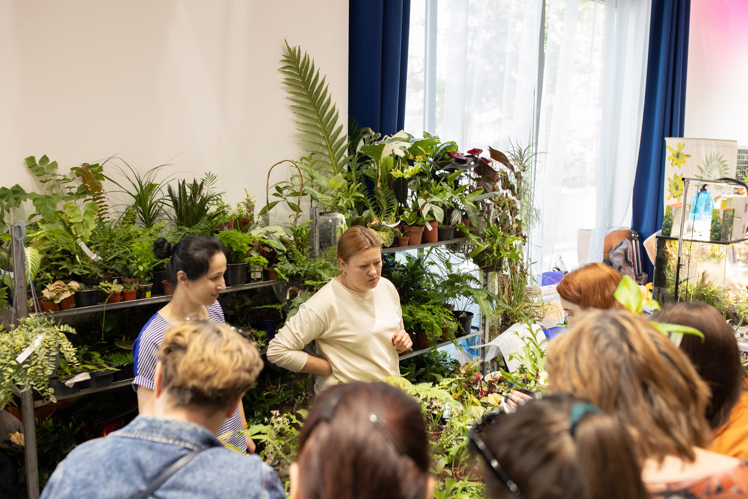 Орхидиум июнь 2024. Александра Куликова фотограф, Москва