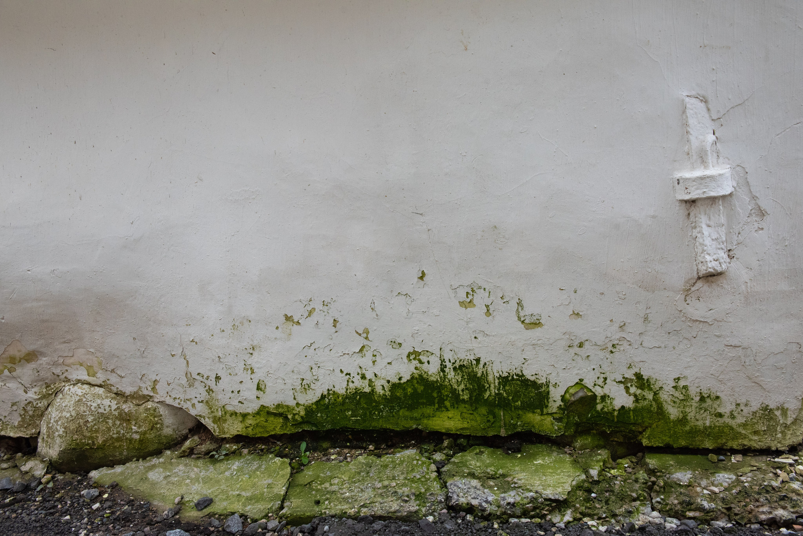 Псков. Портретный и архитектурный фотограф в Москве и Санкт-Петербурге