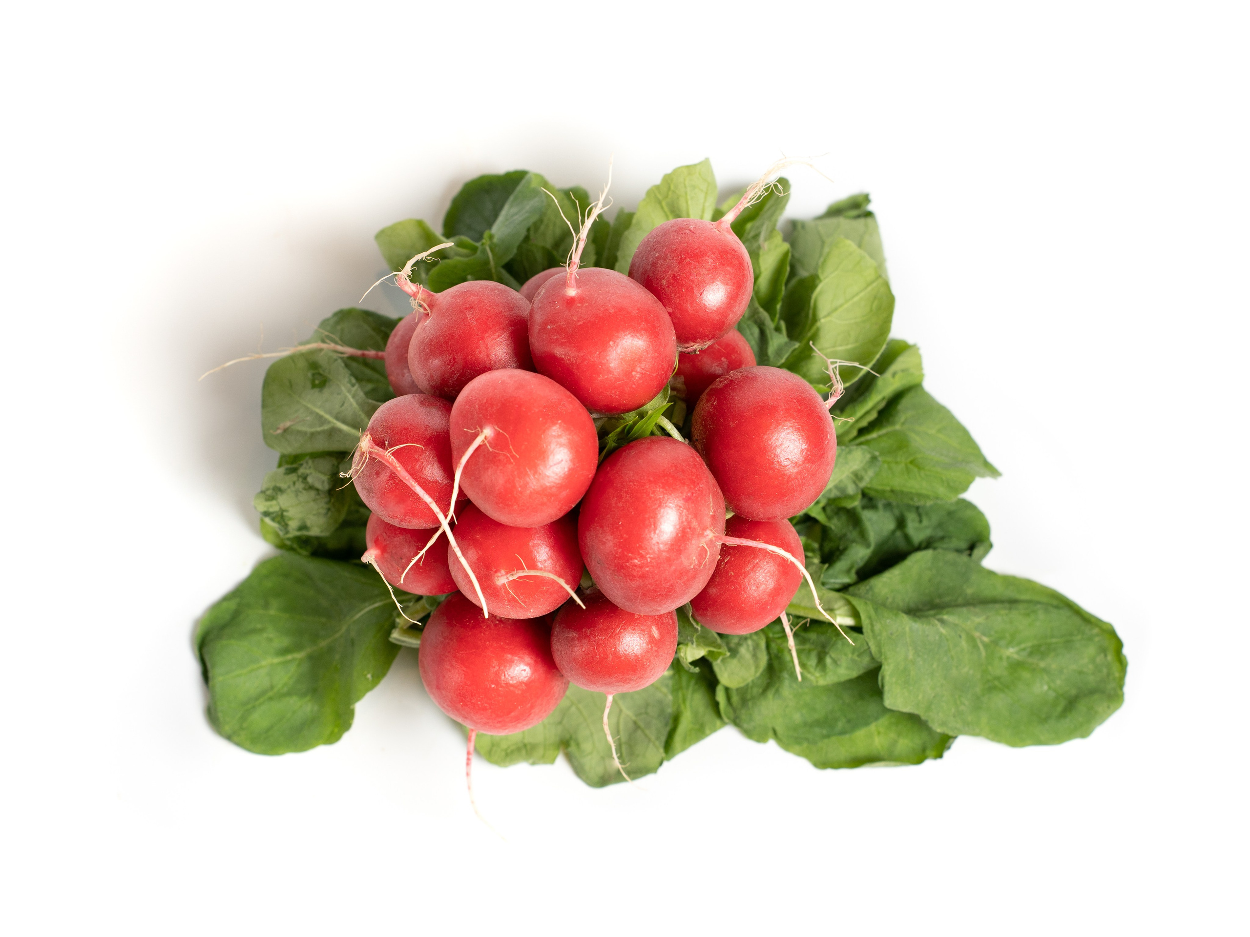 Яндекс Маркет. Предметный и фуд-фотограф в Москве Анна Царенко