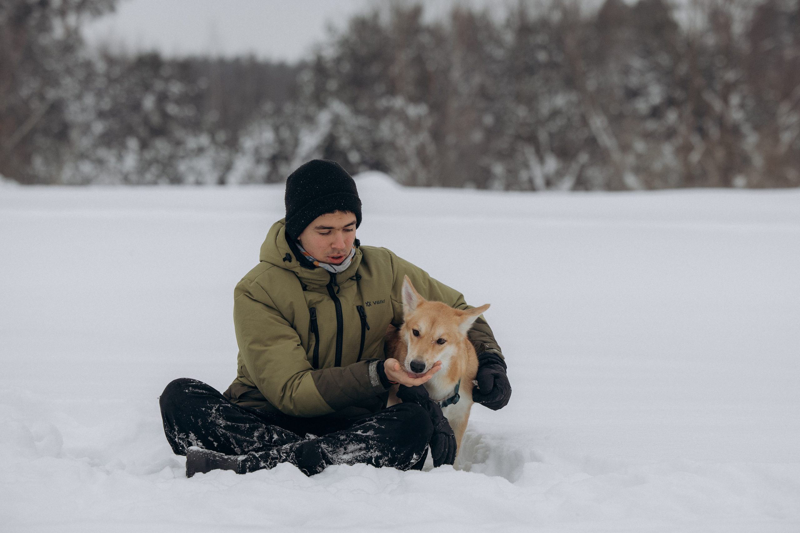 Прогулка на озере зимой. Фотограф анималист в Казани Алина Сулейманова. Фотограф животных