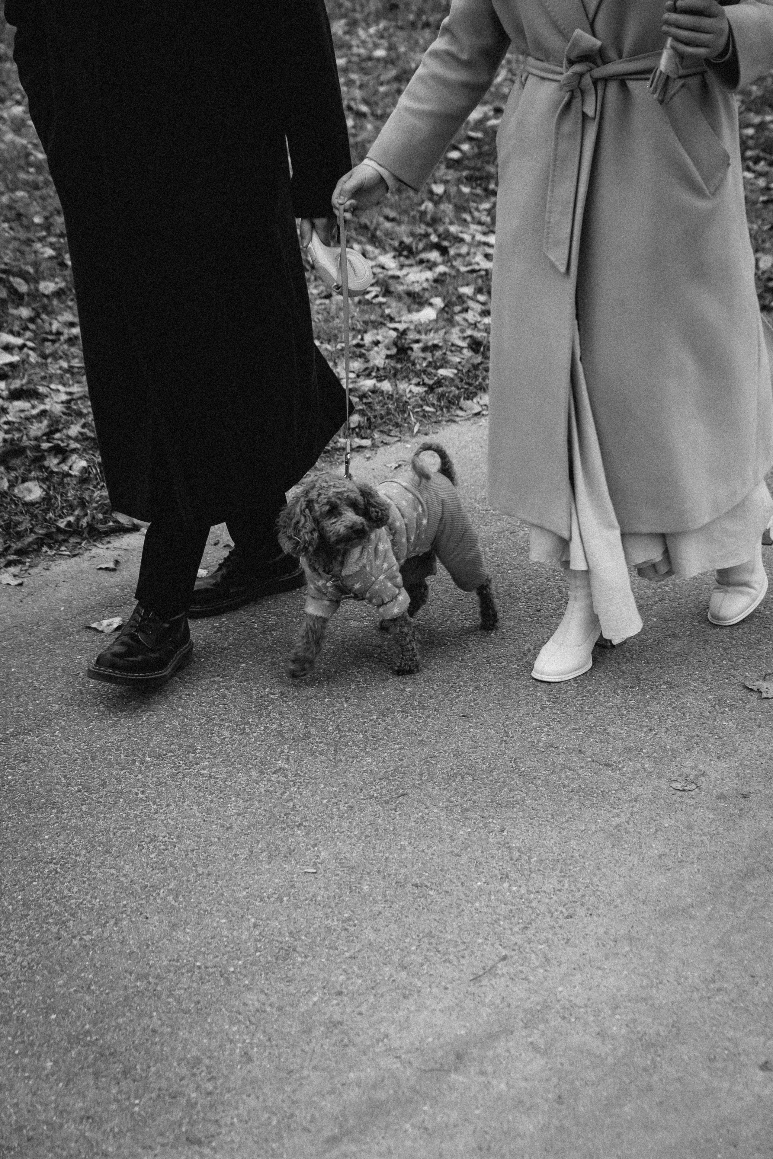 Ксения и Александр. Семейный фотограф Минск Усова Ольга