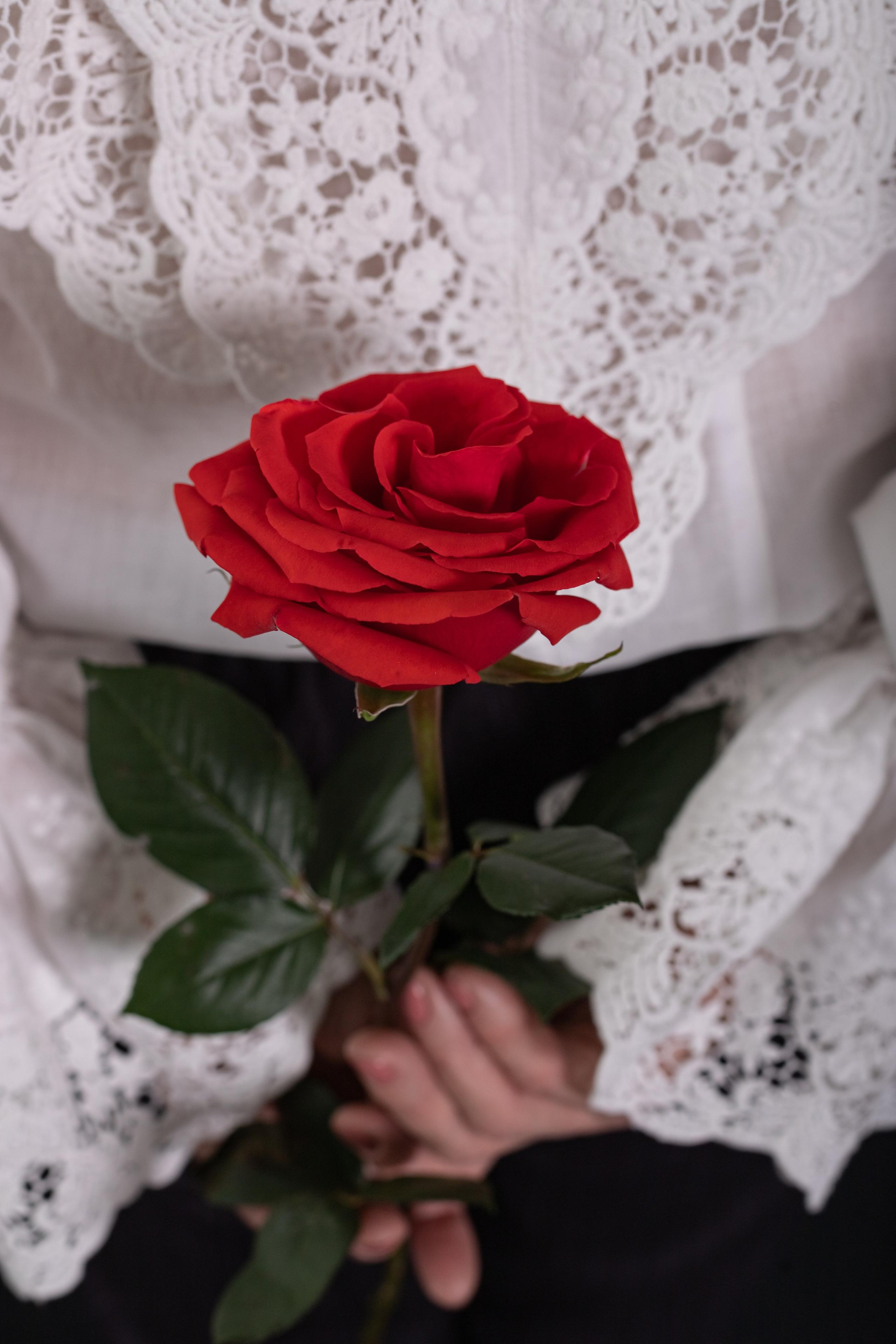 Ирина: Грация и элегантность. Фотограф в Томске Евгения Гуляева