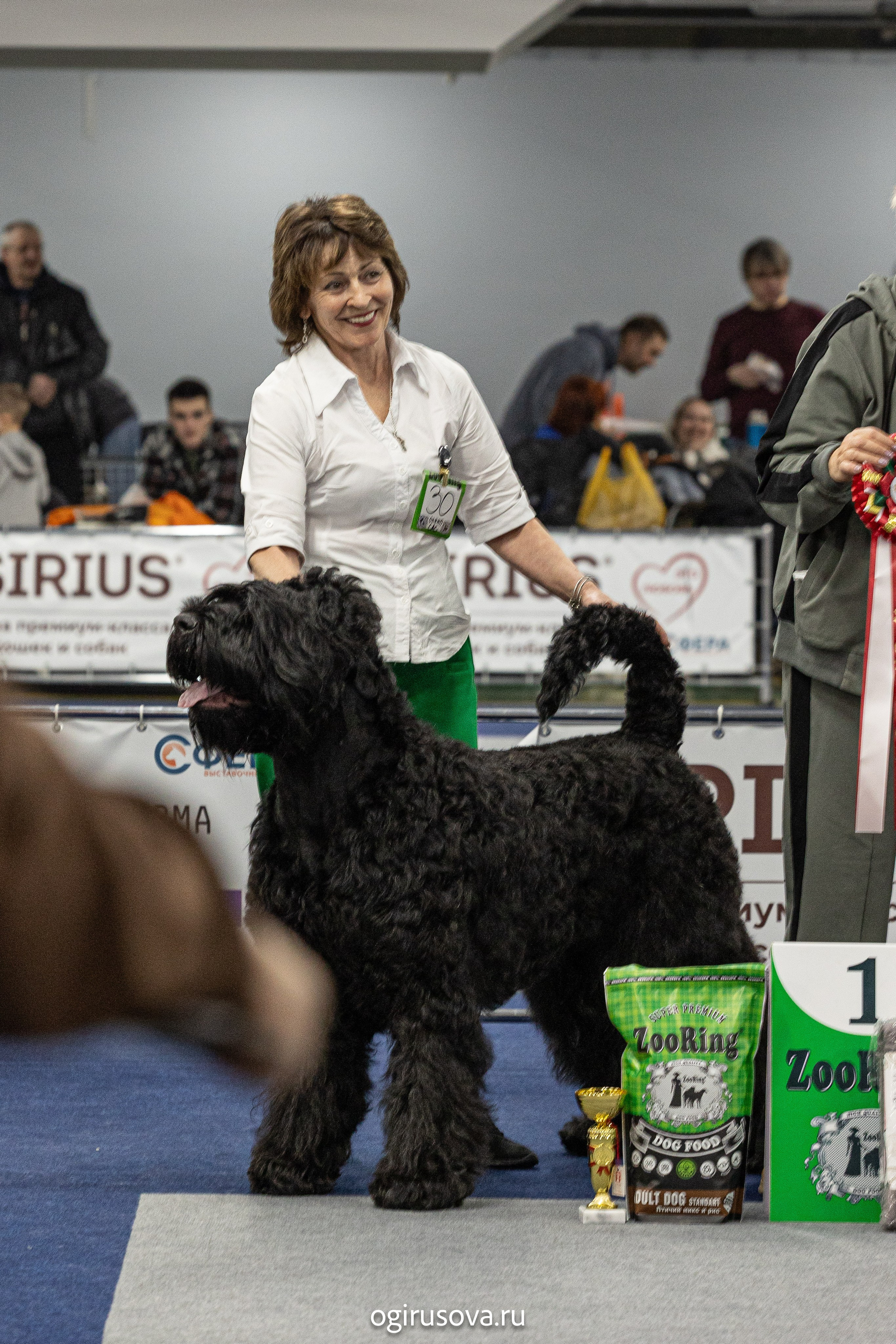 РОО КЛЖ «Олимп"+"Империя"+"Виктория».Выставка собак. Фотограф Ольга Гирусова «Пантерочка» Москва