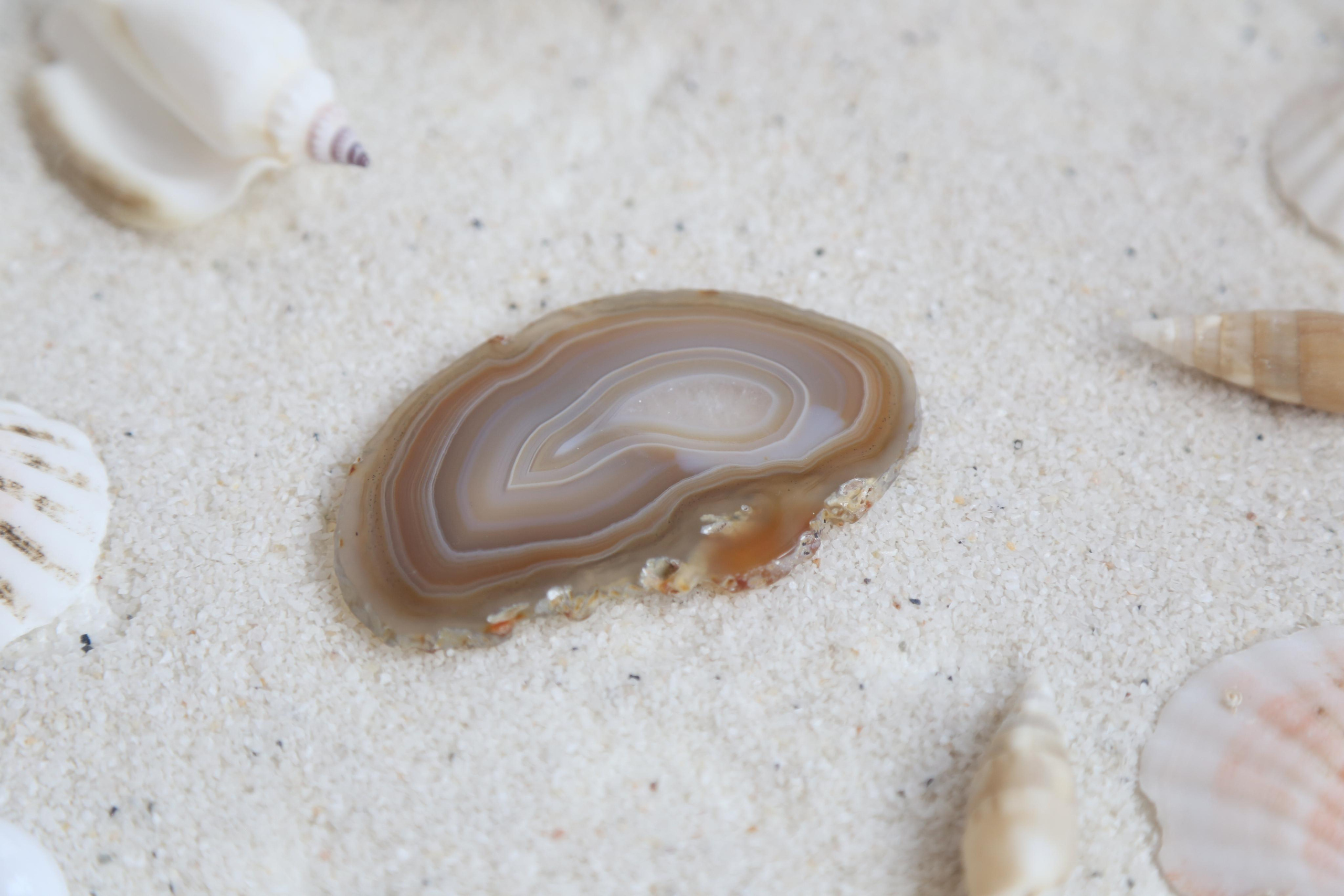 Предметная фотосъемка. SAAVIK design — Керамика \ Зефирная флористика \Handmade\ Краснодар