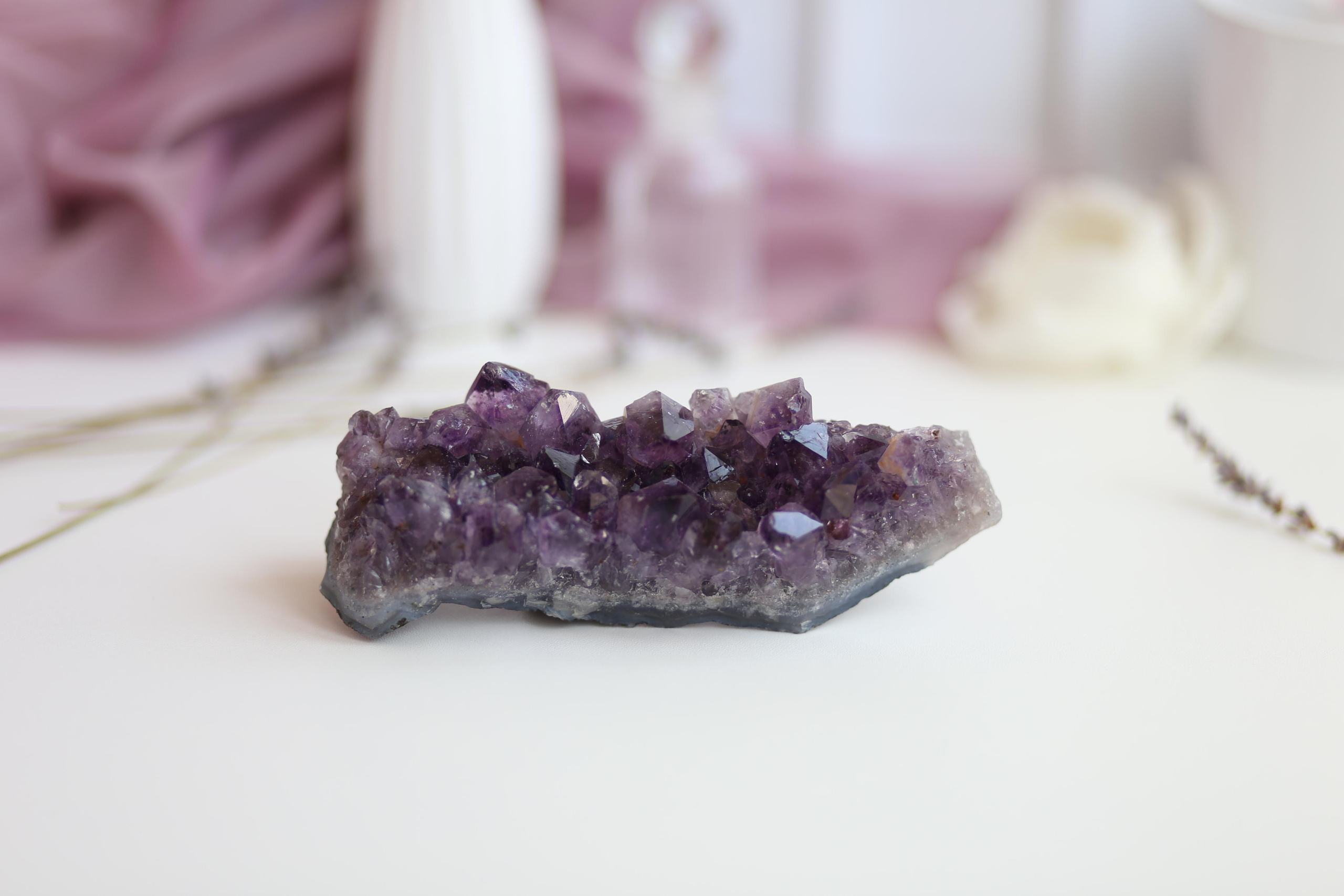 Предметная фотосъемка. SAAVIK design — Керамика \ Зефирная флористика \Handmade\ Краснодар