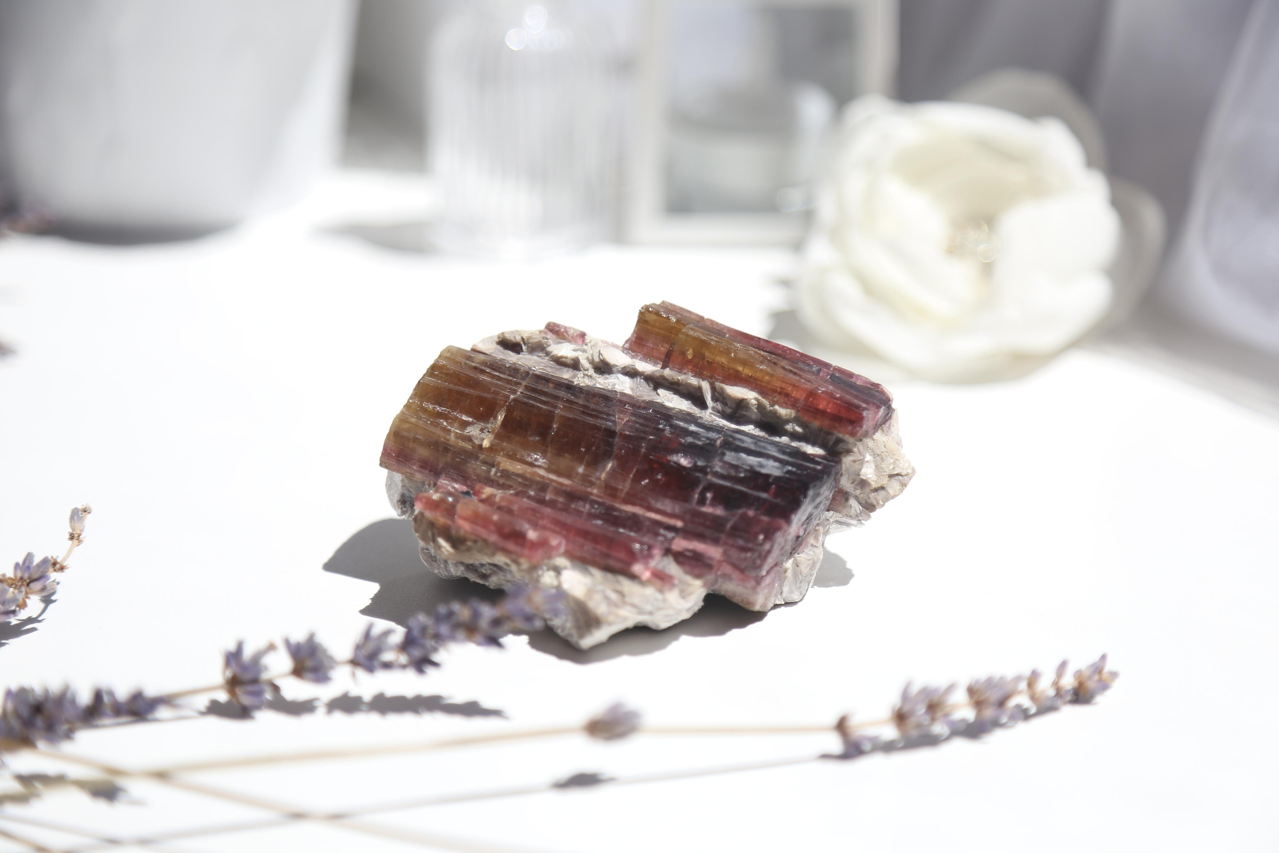 Предметная фотосъемка. SAAVIK design — Керамика \ Зефирная флористика \Handmade\ Краснодар