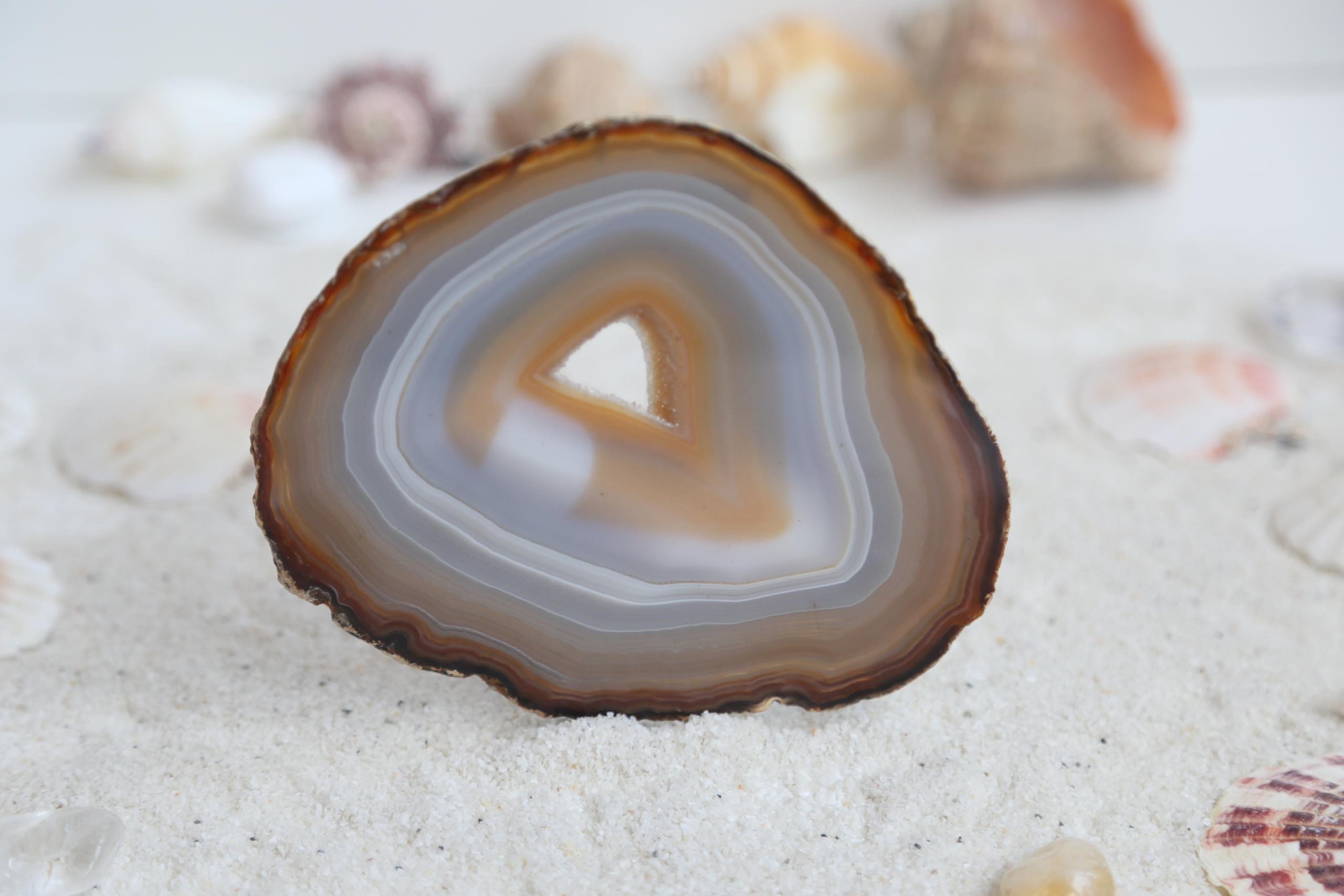 Предметная фотосъемка. SAAVIK design — Керамика \ Зефирная флористика \Handmade\ Краснодар