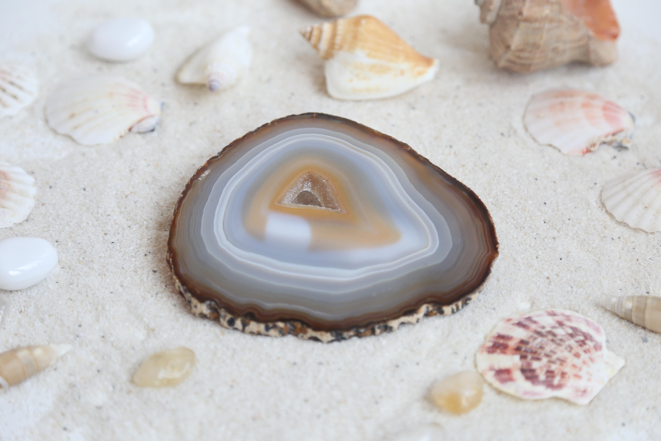 Предметная фотосъемка. SAAVIK design — Керамика \ Зефирная флористика \Handmade\ Краснодар