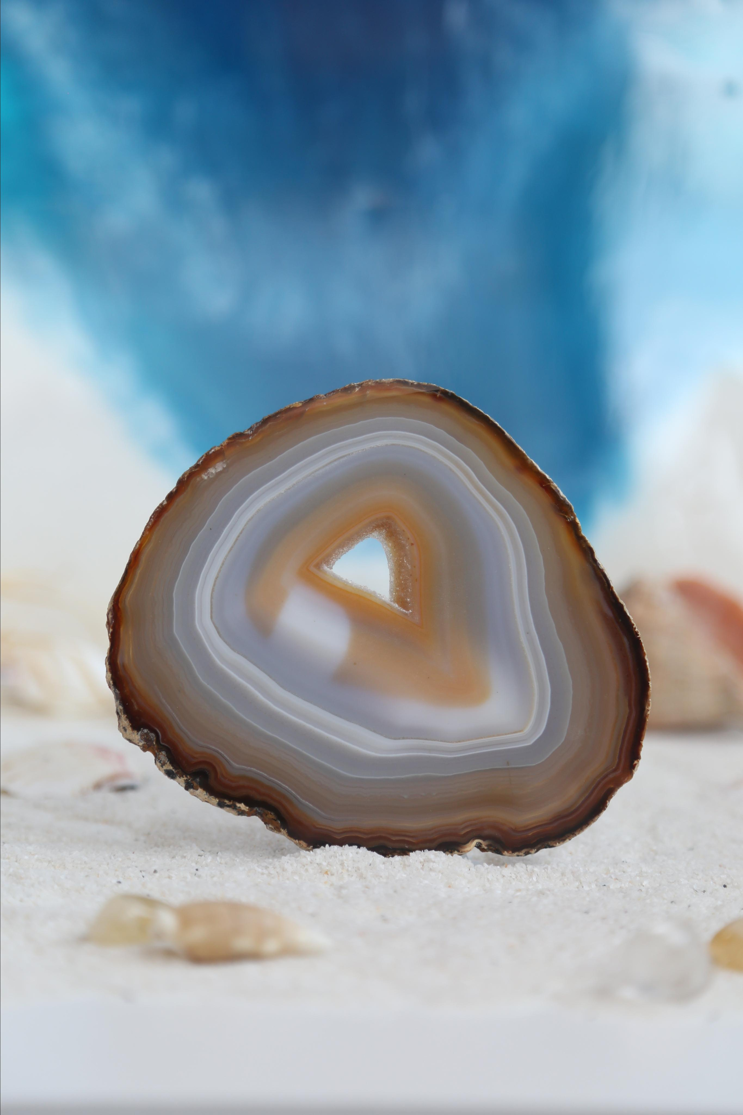 Предметная фотосъемка. SAAVIK design — Керамика \ Зефирная флористика \Handmade\ Краснодар