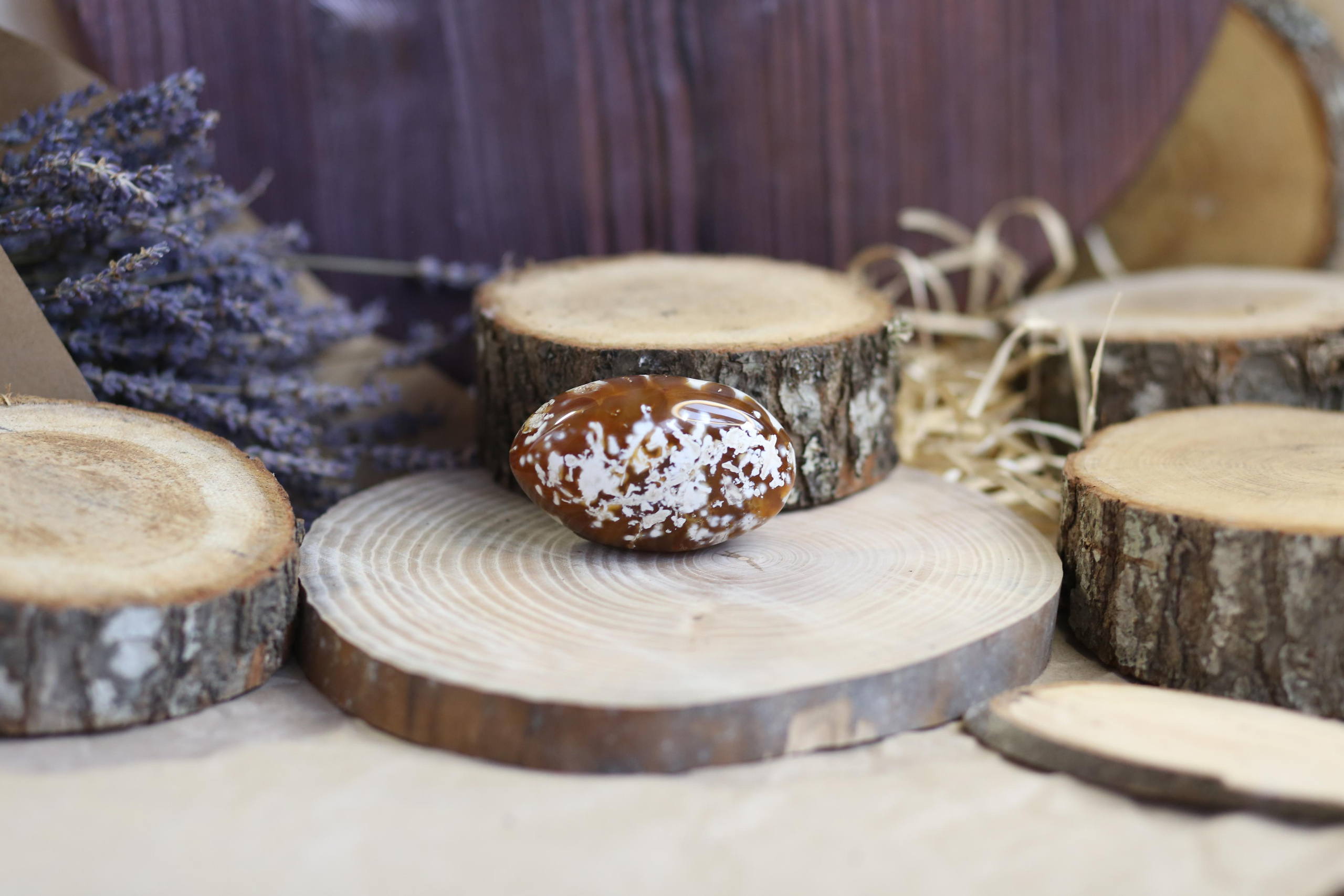 Предметная фотосъемка. SAAVIK design — Керамика \ Зефирная флористика \Handmade\ Краснодар