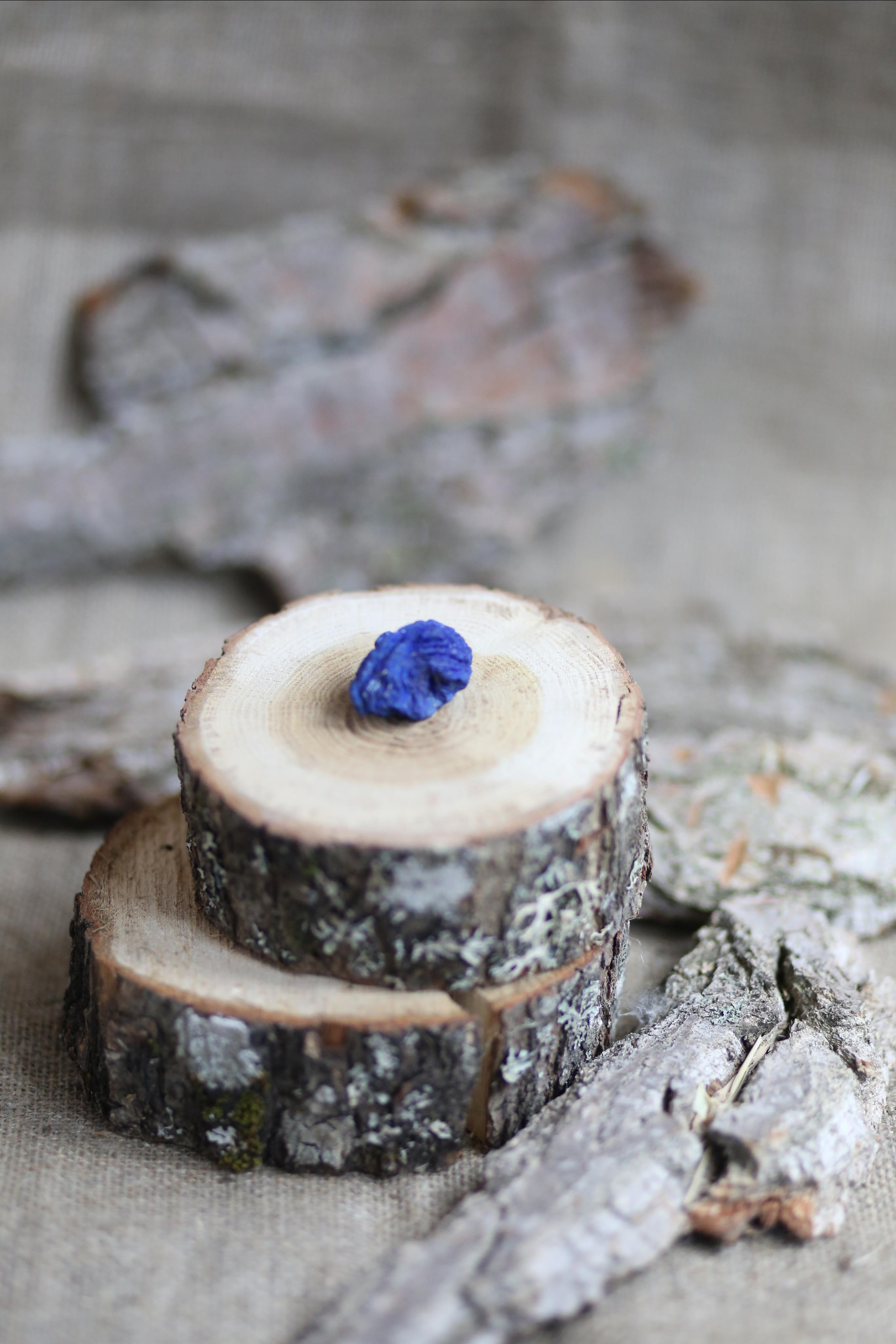 Предметная фотосъемка. SAAVIK design — Керамика \ Зефирная флористика \Handmade\ Краснодар