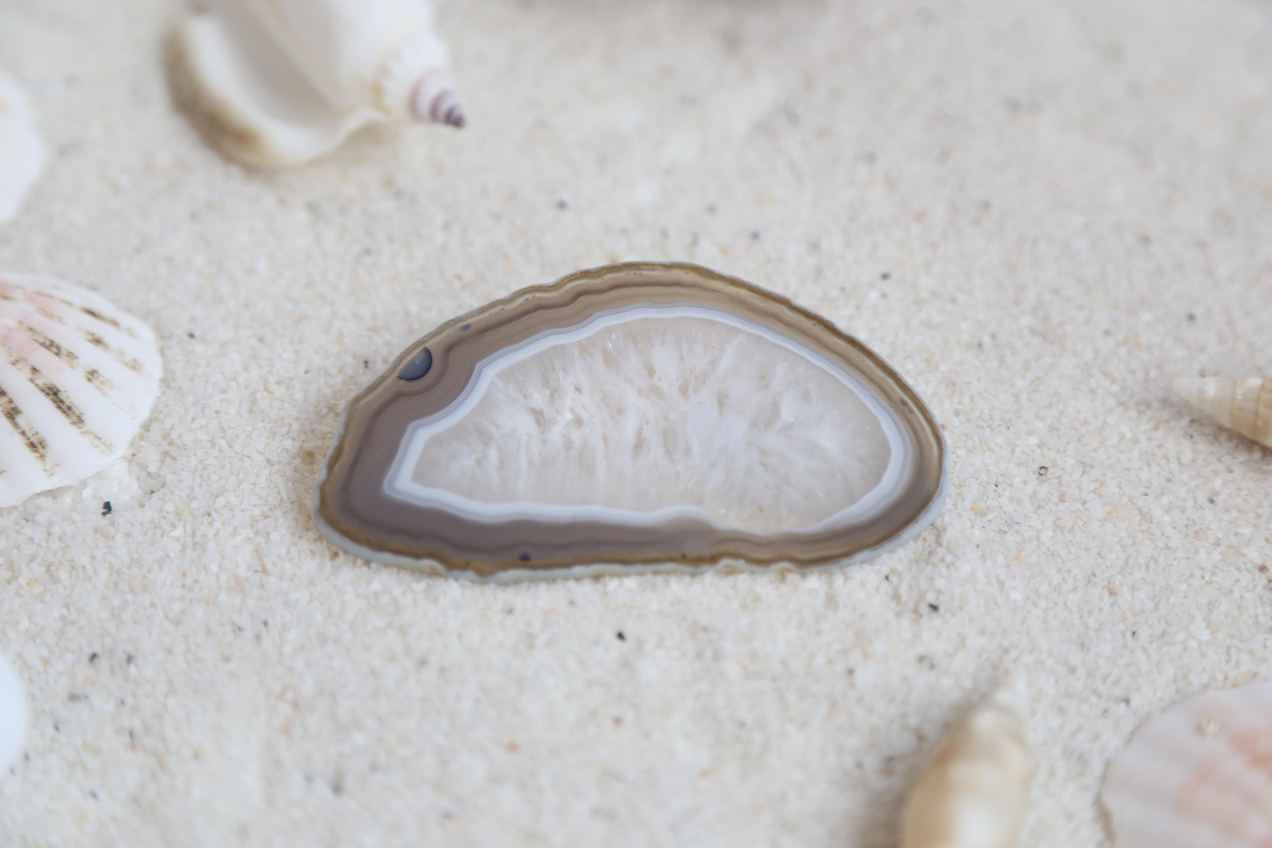 Предметная фотосъемка. SAAVIK design — Керамика \ Зефирная флористика \Handmade\ Краснодар