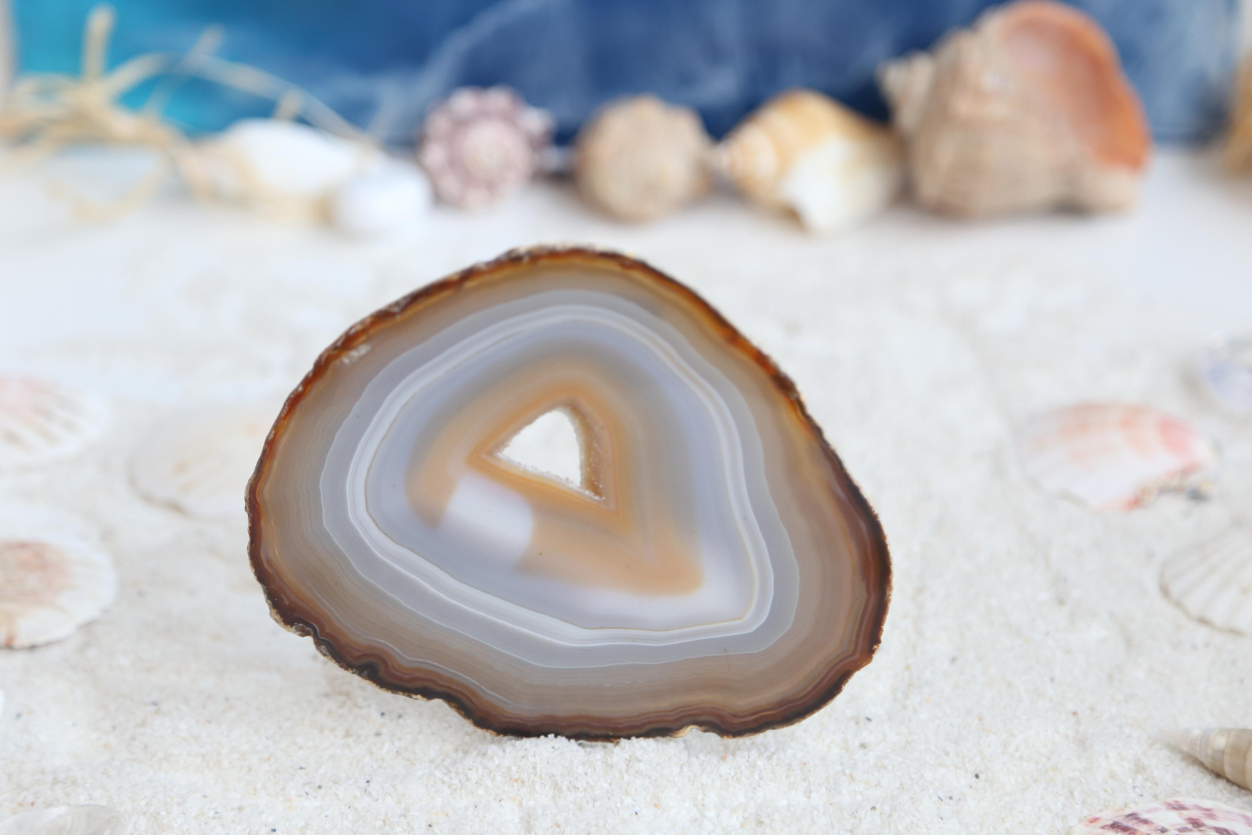 Предметная фотосъемка. SAAVIK design — Керамика \ Зефирная флористика \Handmade\ Краснодар