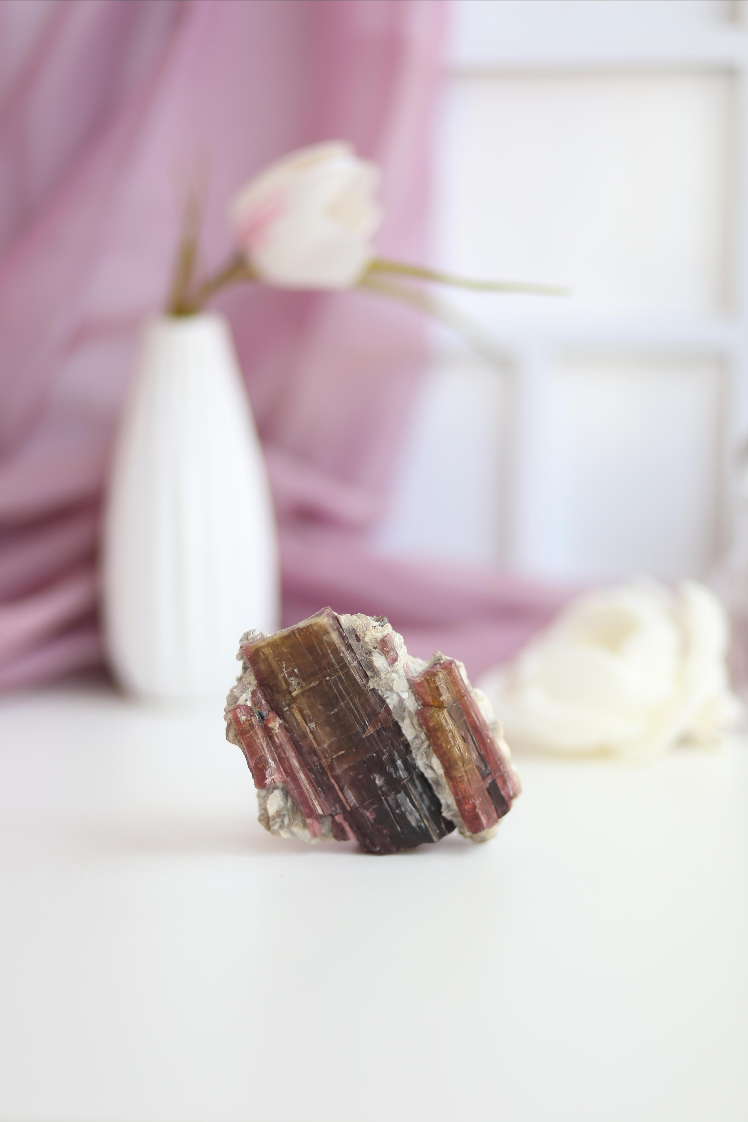 Предметная фотосъемка. SAAVIK design — Керамика \ Зефирная флористика \Handmade\ Краснодар