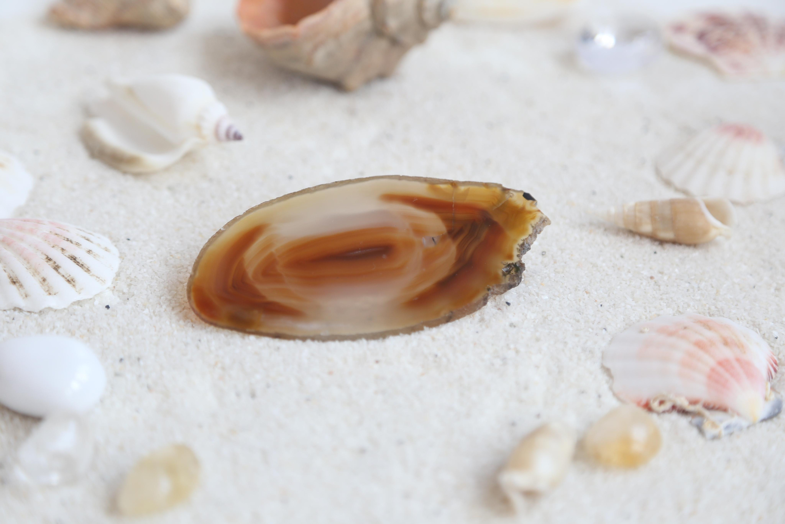 Предметная фотосъемка. SAAVIK design — Керамика \ Зефирная флористика \Handmade\ Краснодар