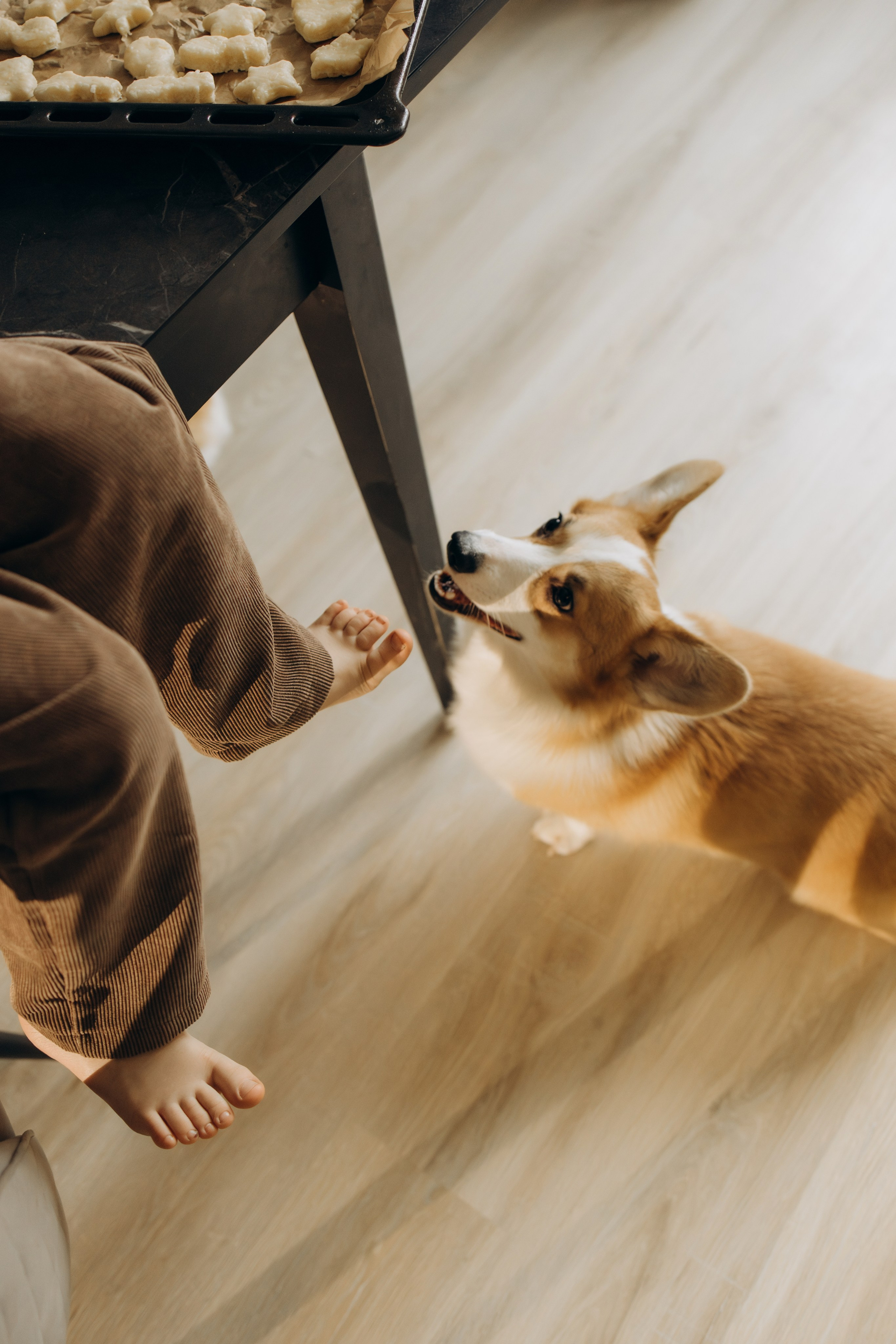 Домашняя история. Семейный фотограф Москва Юлиана Фетисова