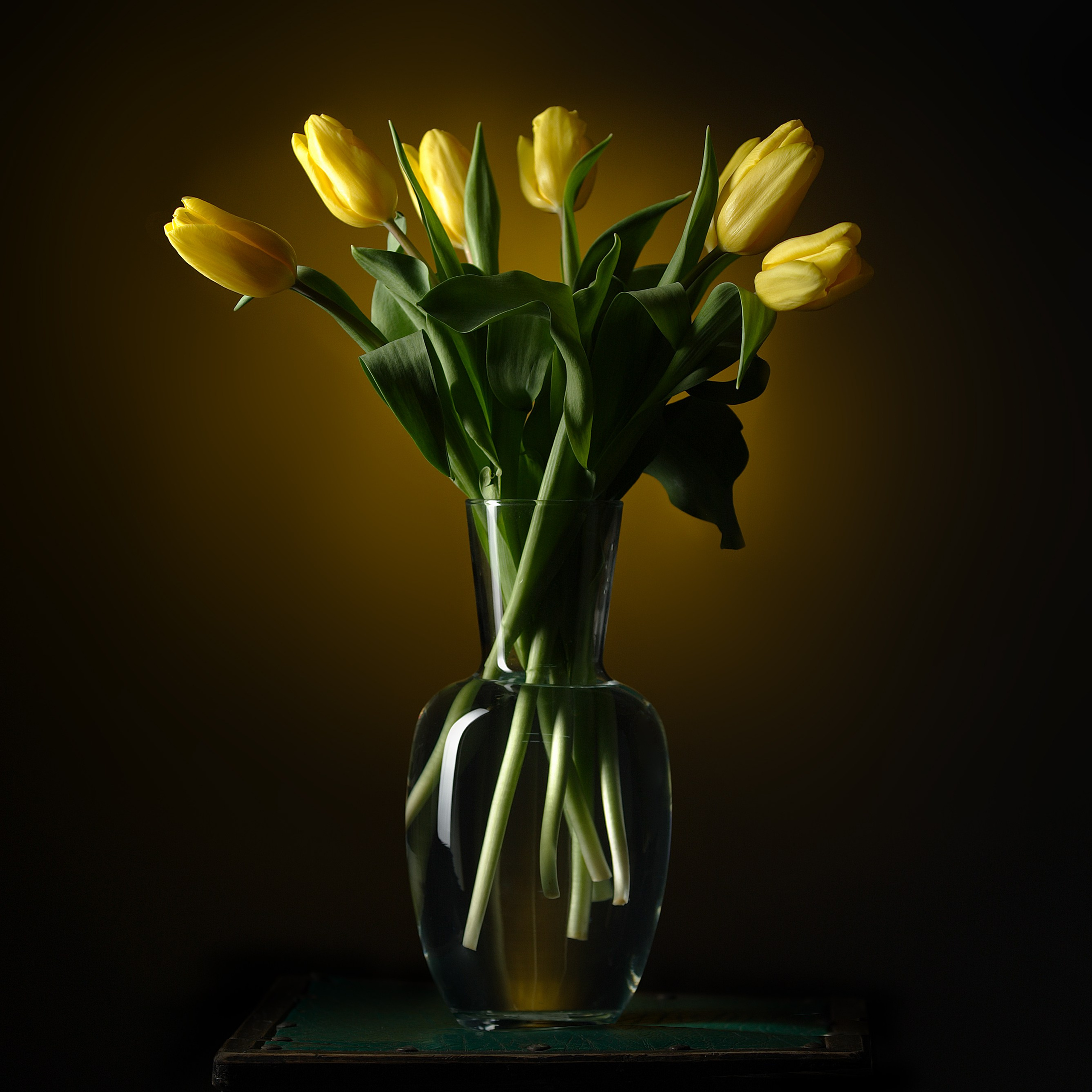 Цветы. Фотограф Мария Кольцова