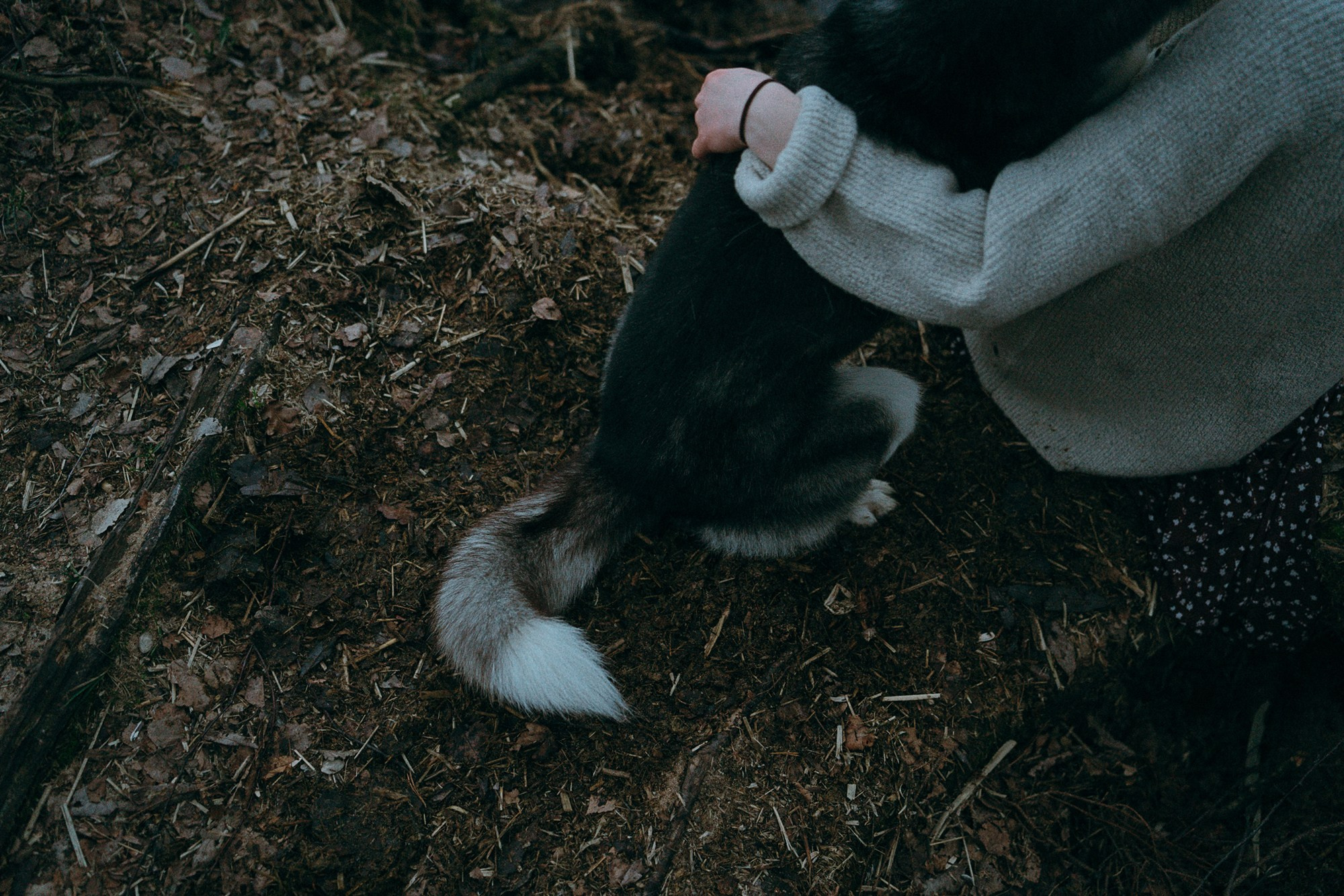 Наташа и Сириус. Фотограф анималист в Москве и Санкт-Петербурге Свиридова Анна