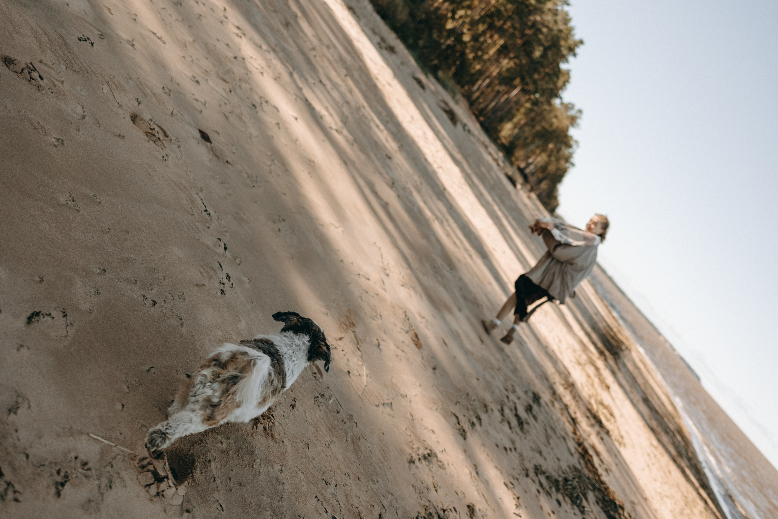 Настя и Франт. Фотограф — Анималист | Санкт-Петербург