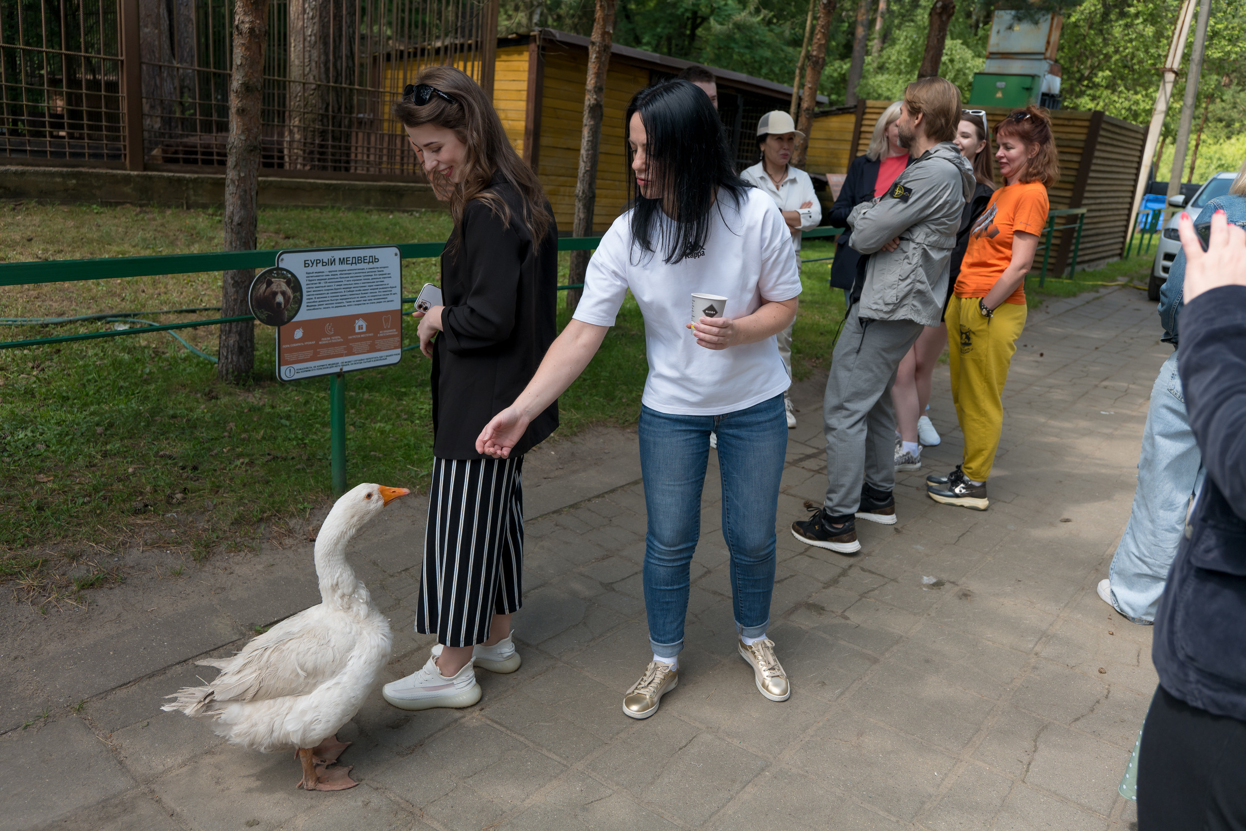 День Медика 2023. ByGreenOrg и красивые фотографии