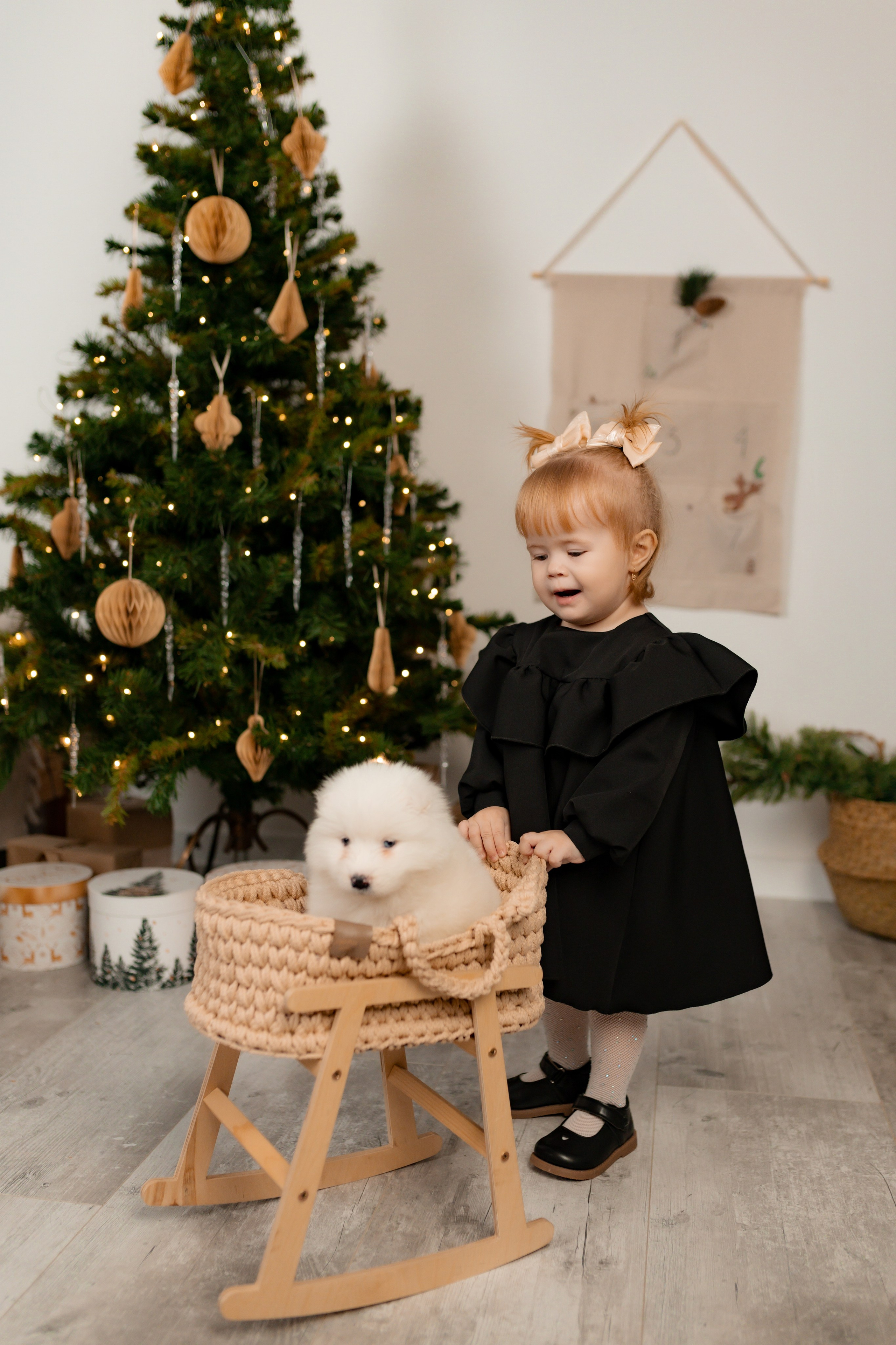 Новогодние съёмки. Интерьерная фотостудия в г. Барнаул