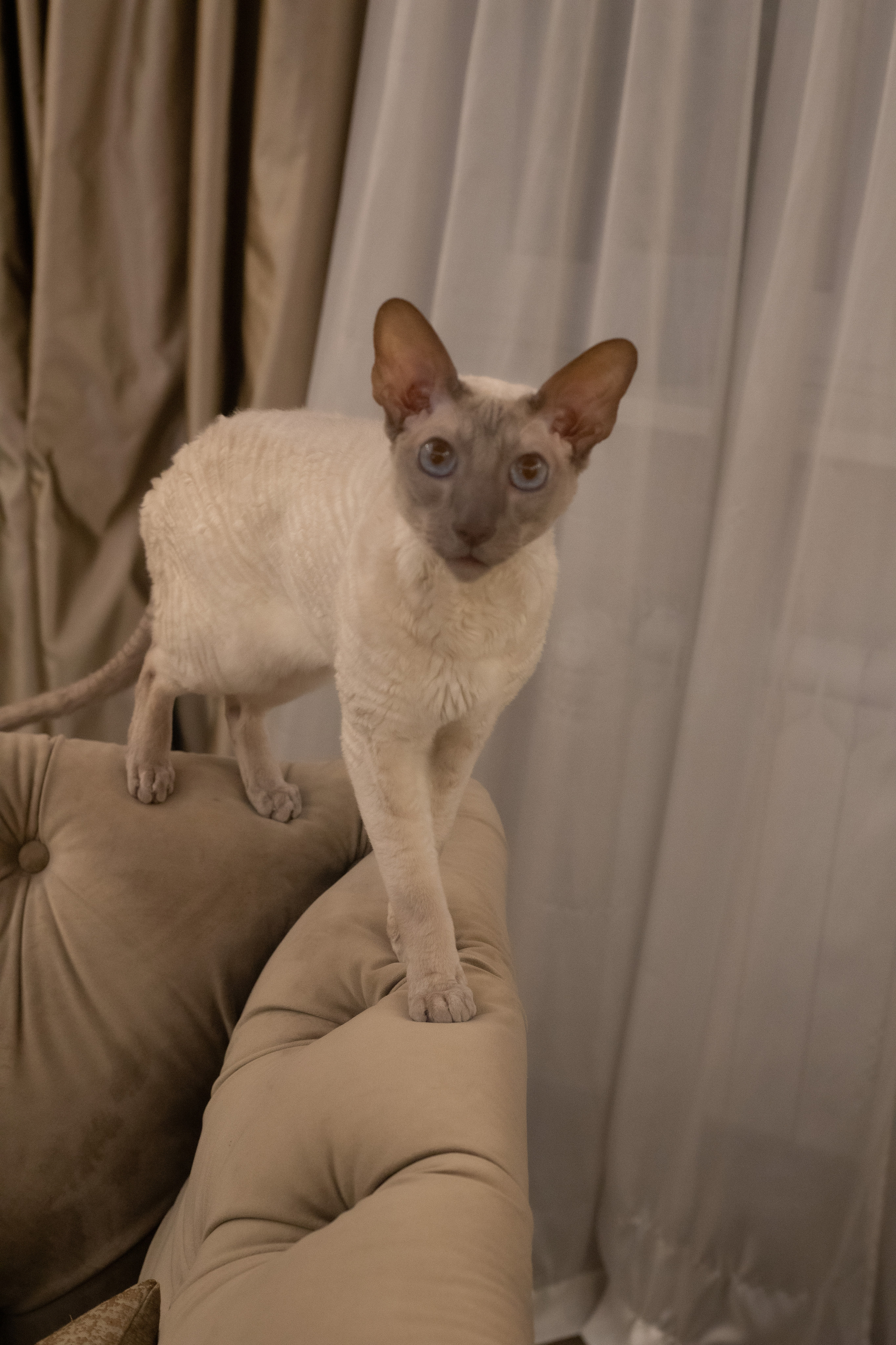 Семья Натальи. Домашняя съемка. Александра Пылёва. Фотограф. Москва