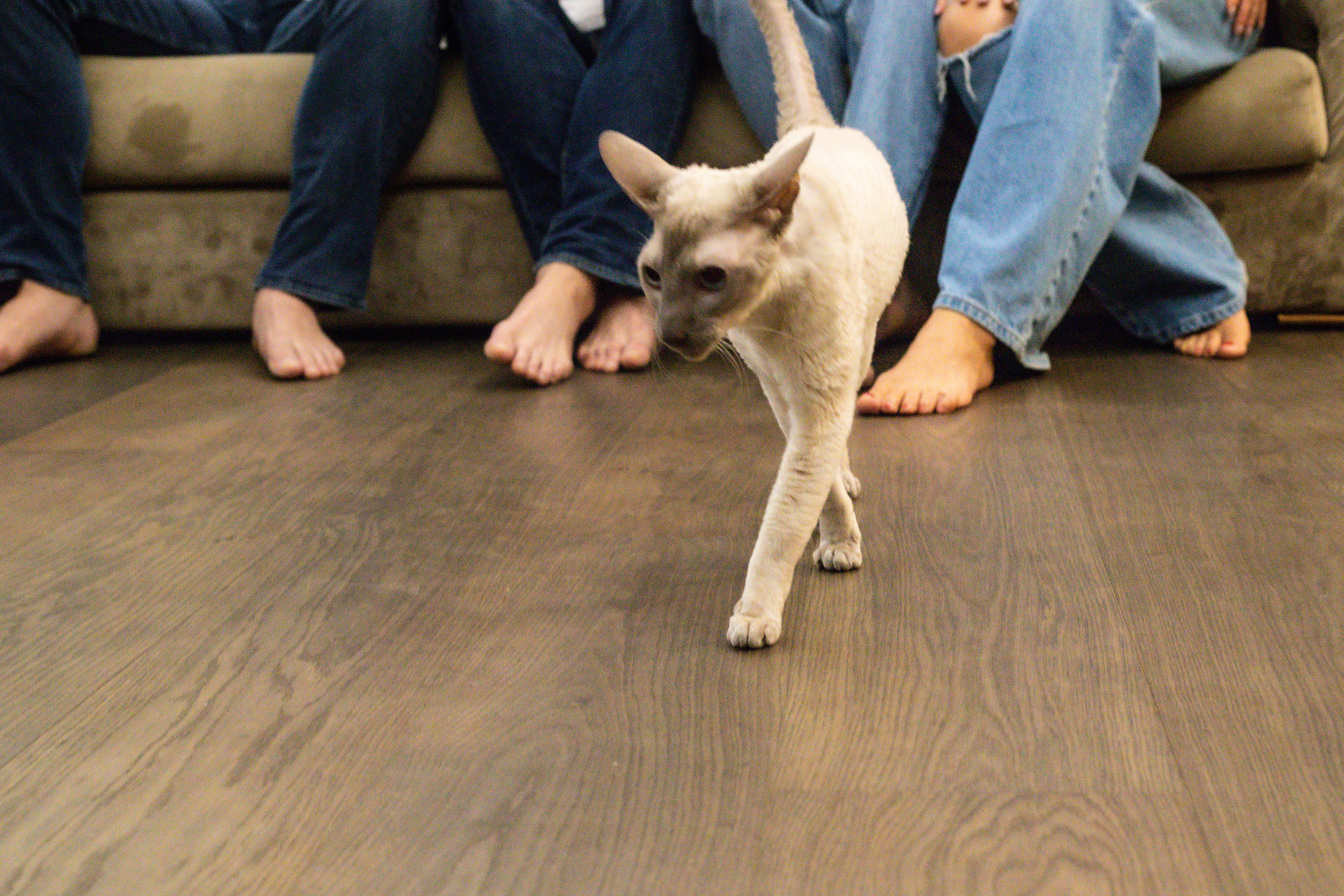 Семья Натальи. Домашняя съемка. Александра Пылёва. Фотограф. Москва